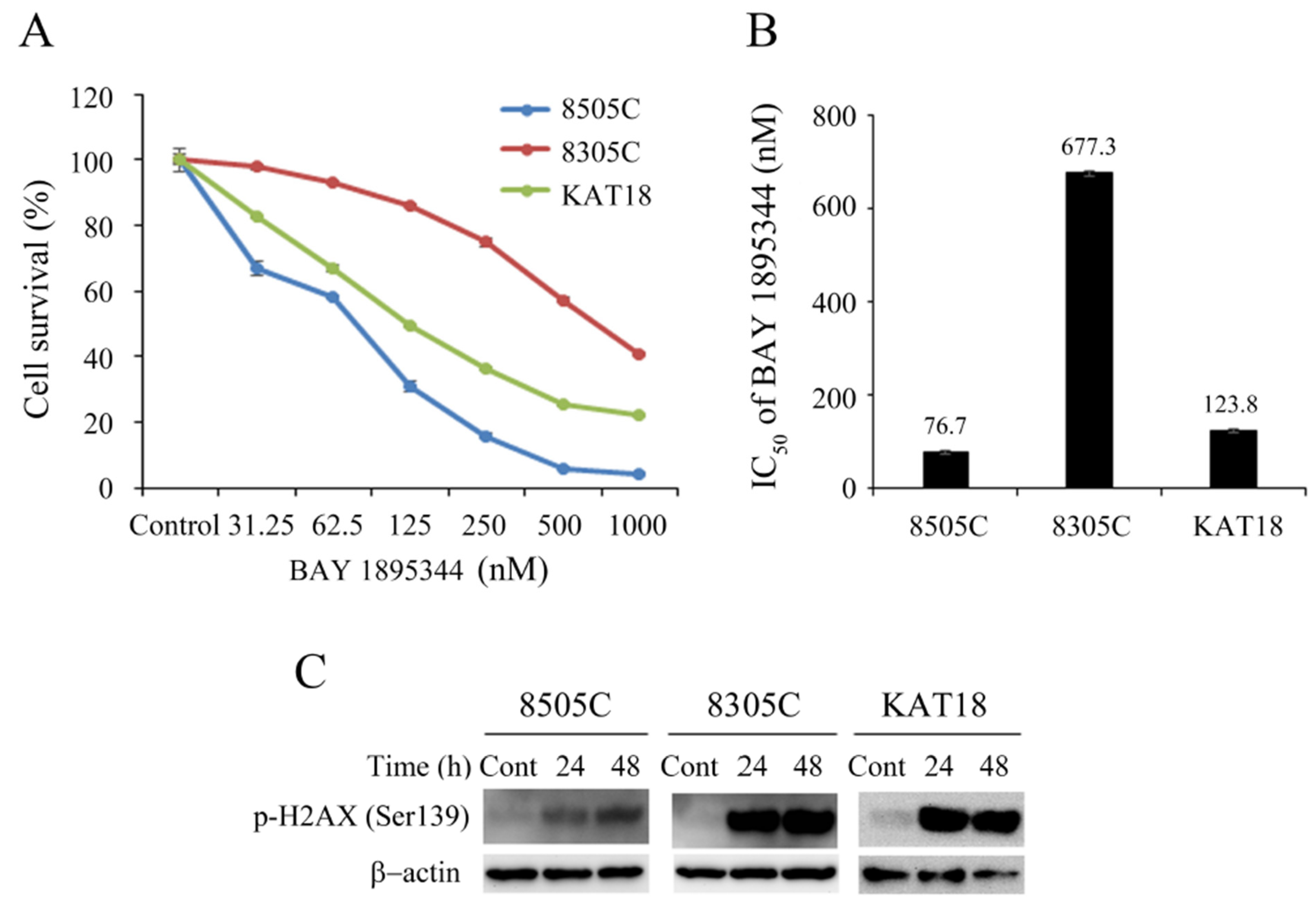 Cancers 17 00359 g001 Cancers 17 00359 g001