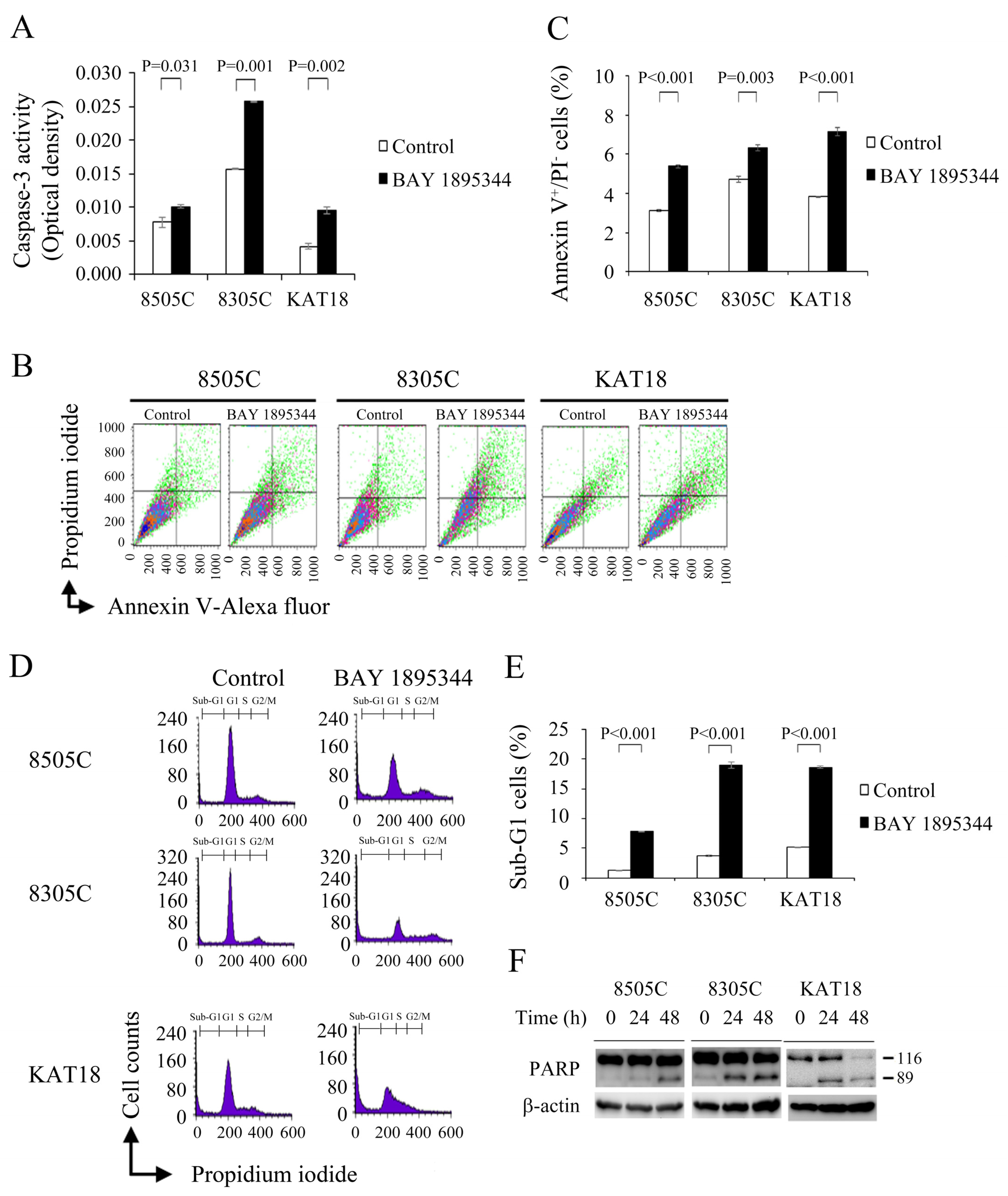 Cancers 17 00359 g003 Cancers 17 00359 g003