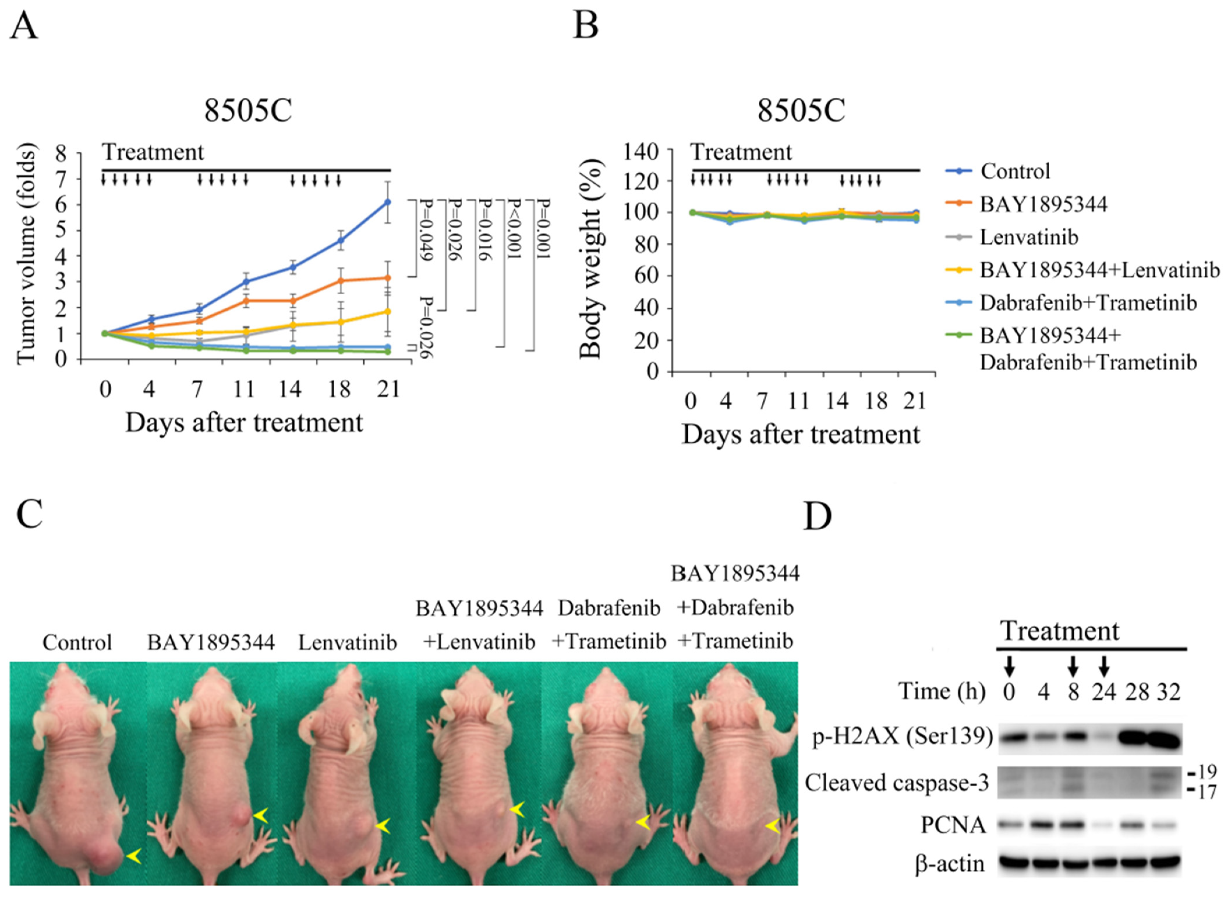 Cancers 17 00359 g005 Cancers 17 00359 g005