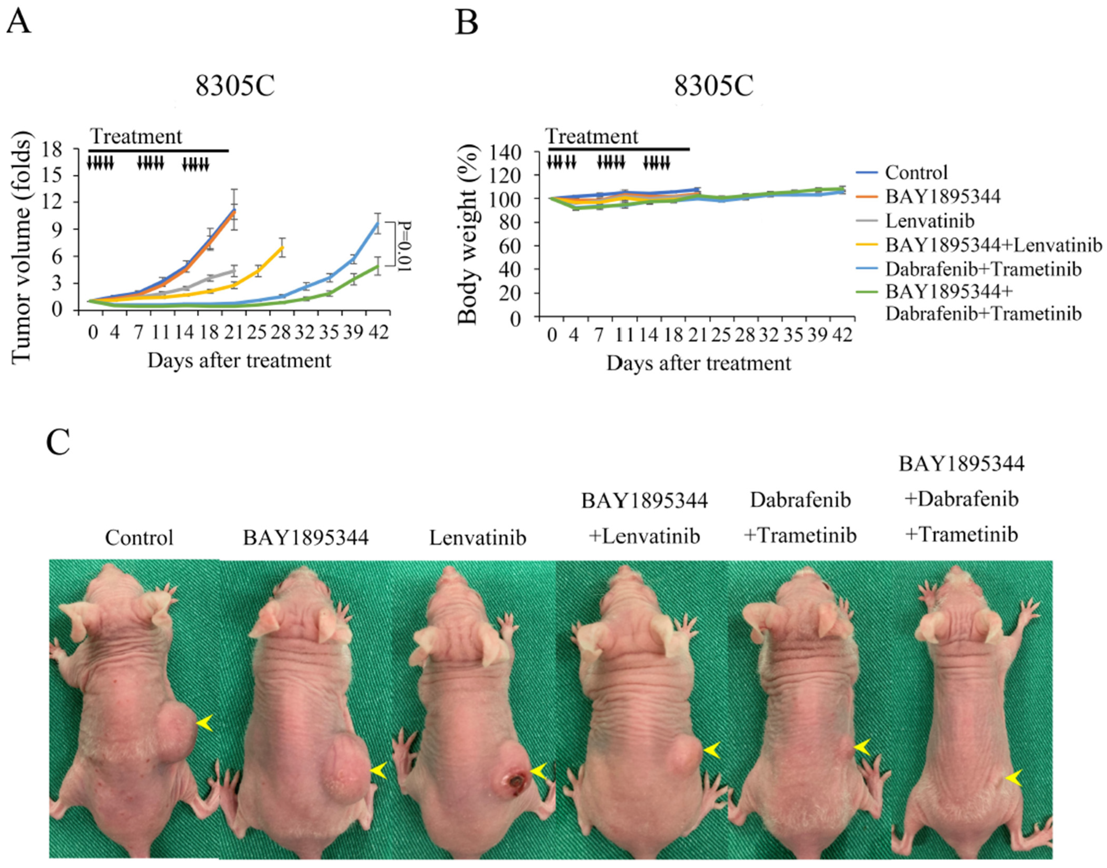 Cancers 17 00359 g006 Cancers 17 00359 g006