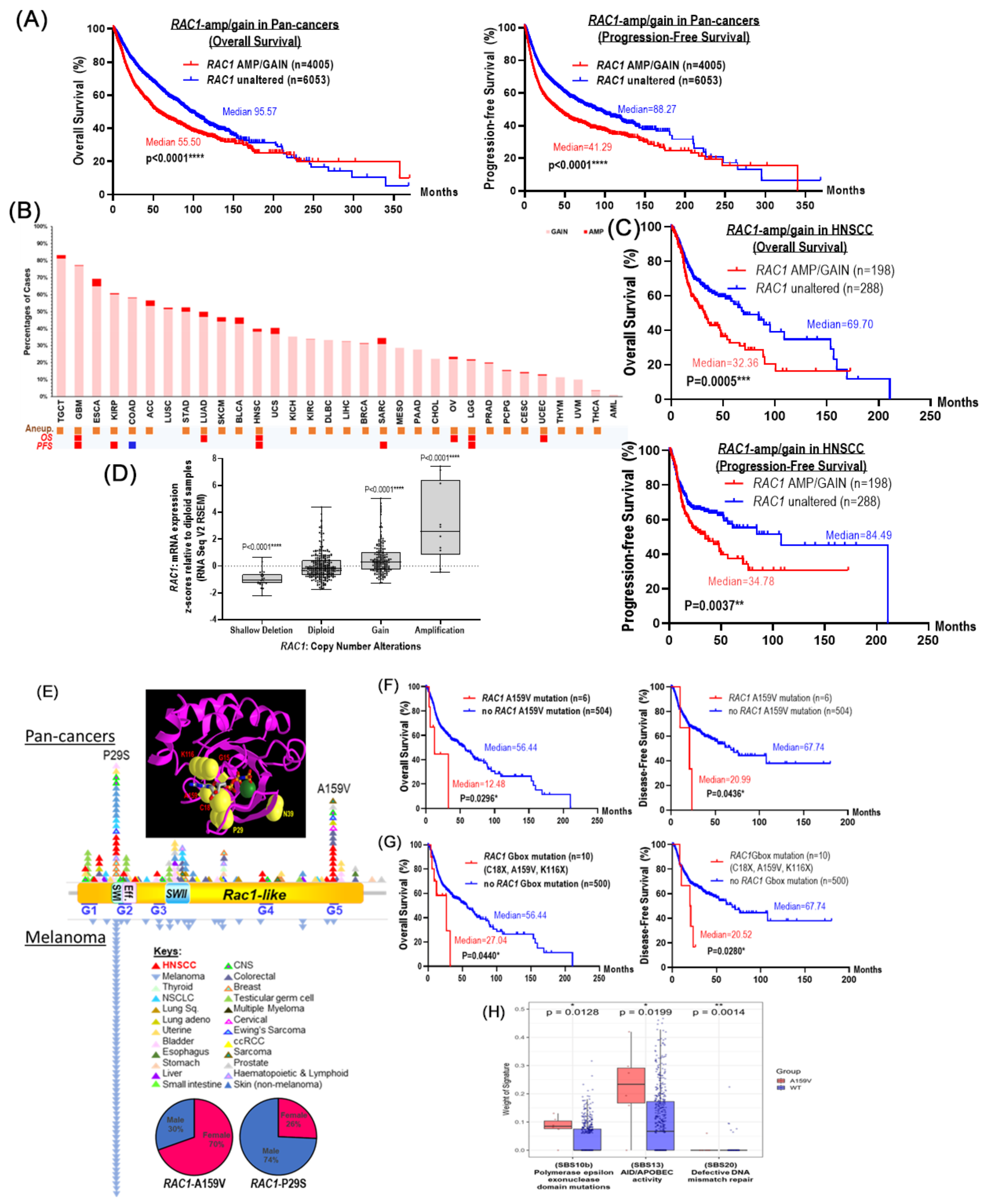 Cancers 17 00361 g001