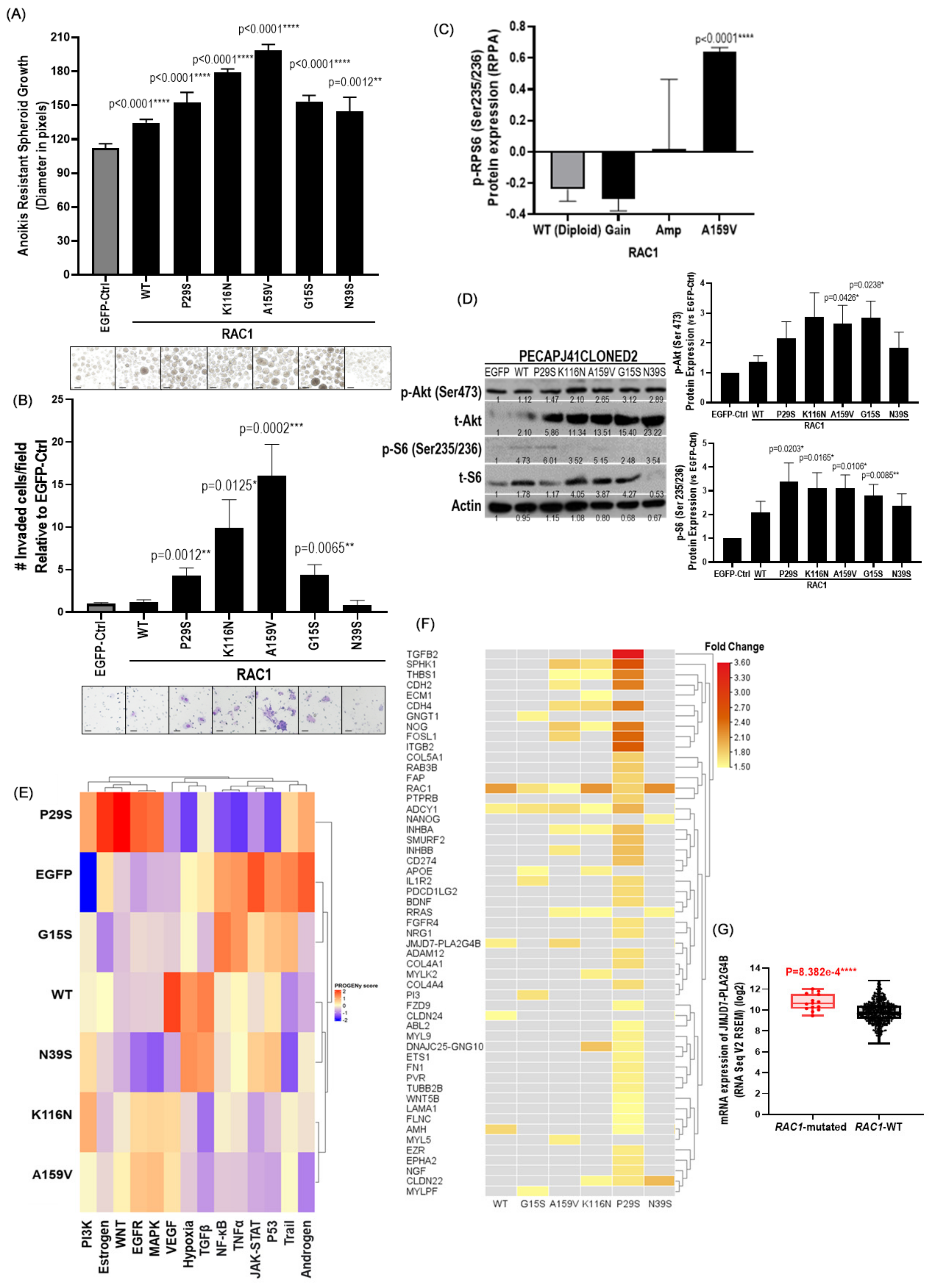 Cancers 17 00361 g002