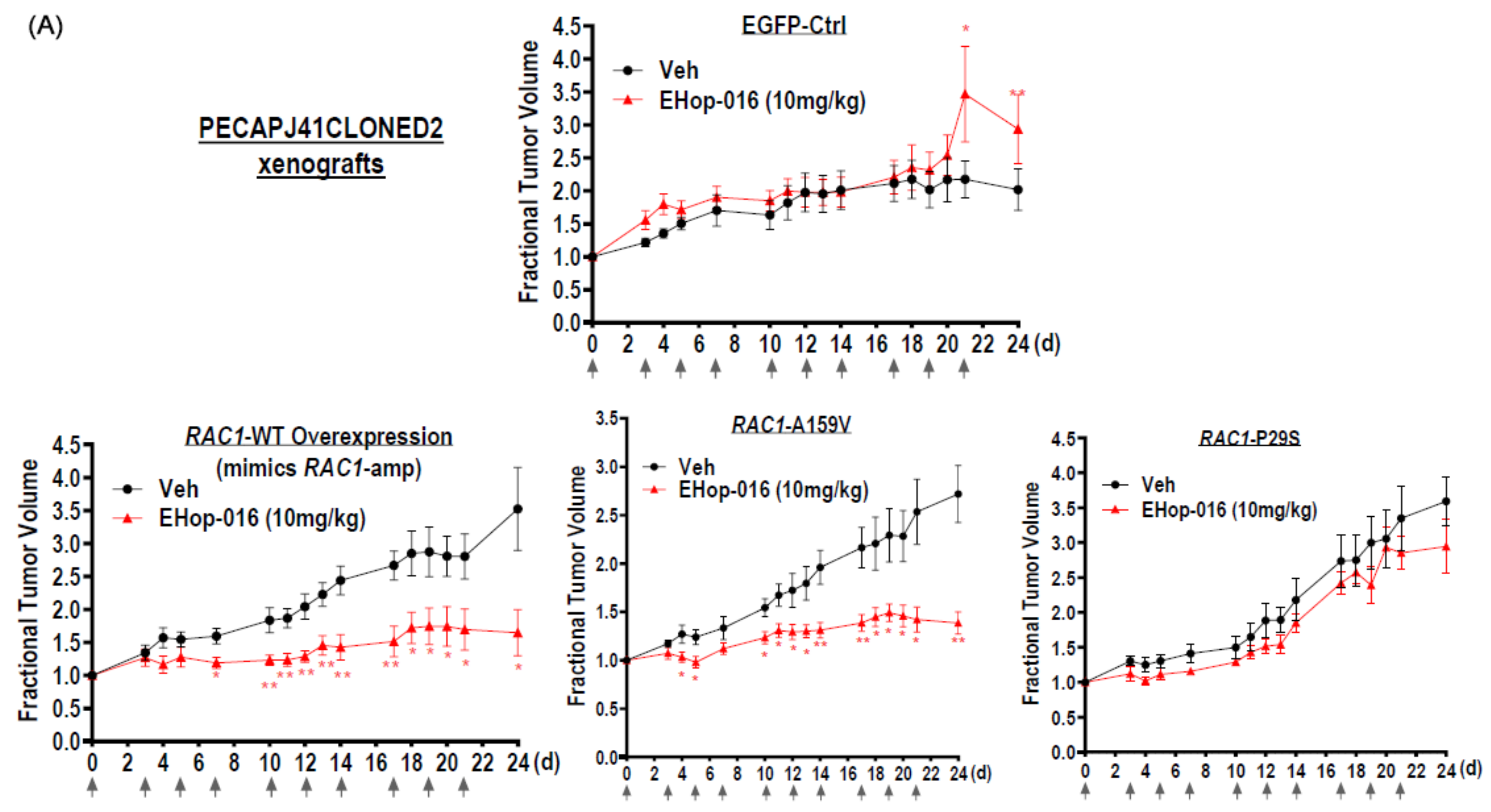 Cancers 17 00361 g004a