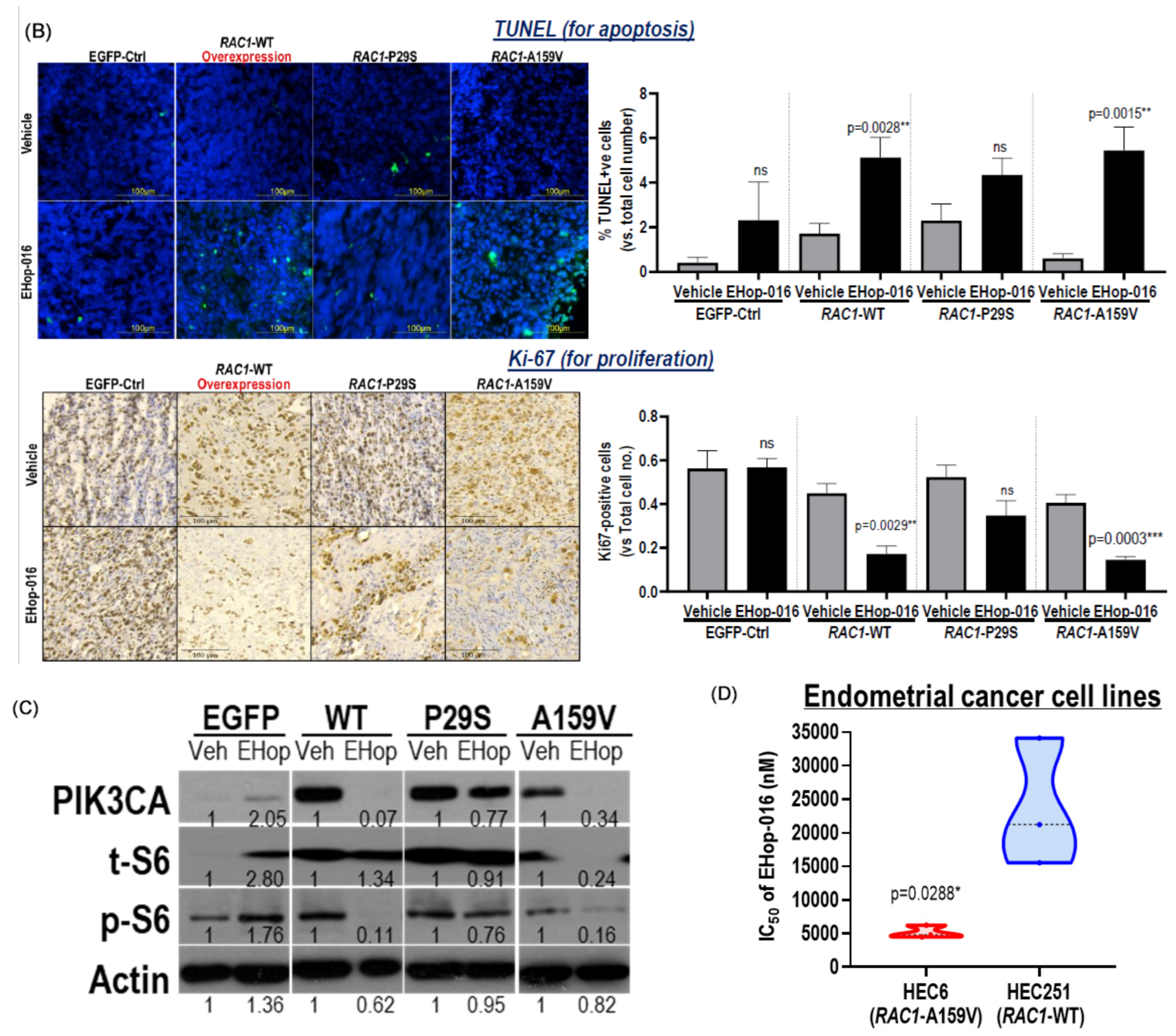 Cancers 17 00361 g004b