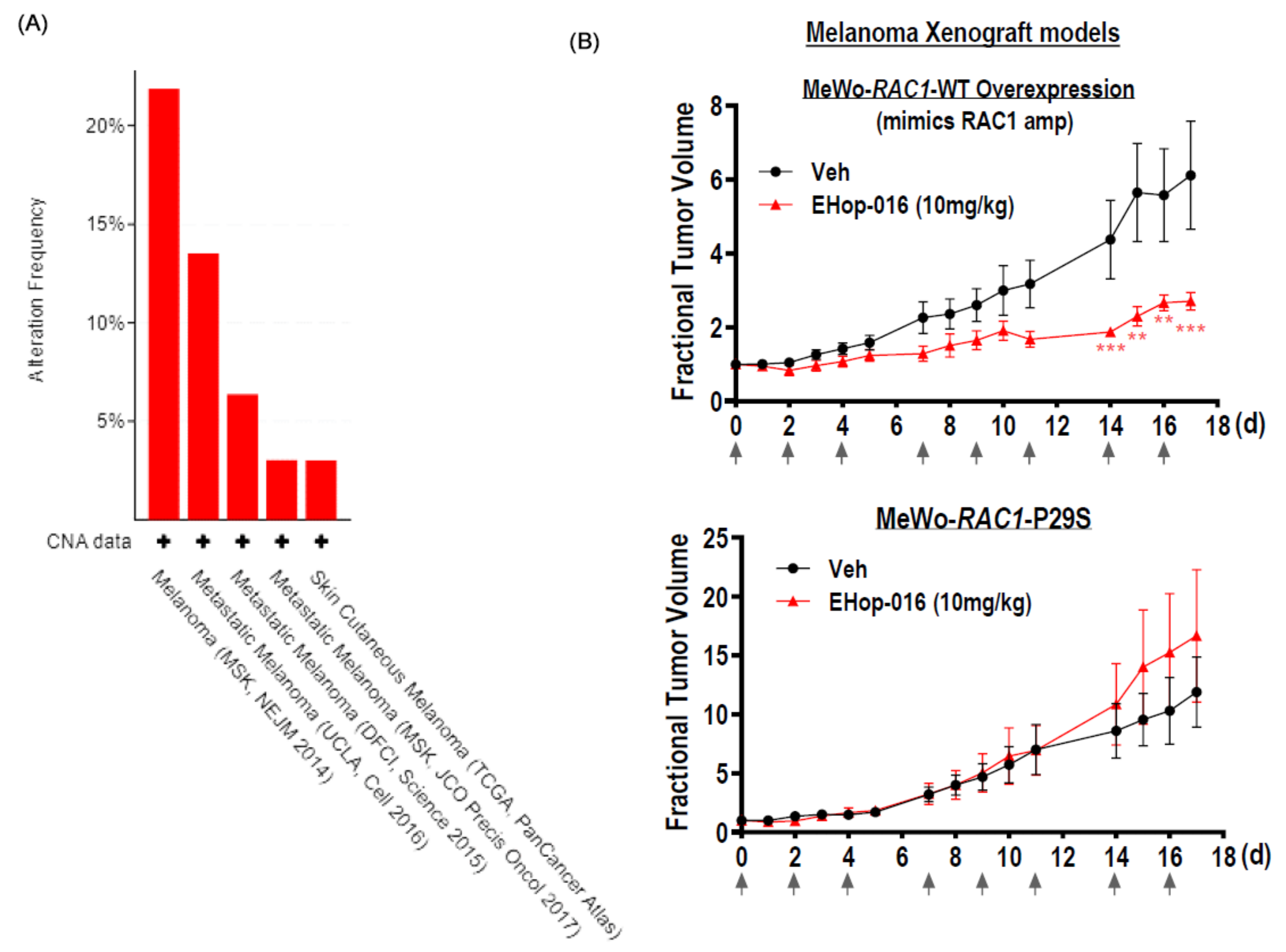 Cancers 17 00361 g005a