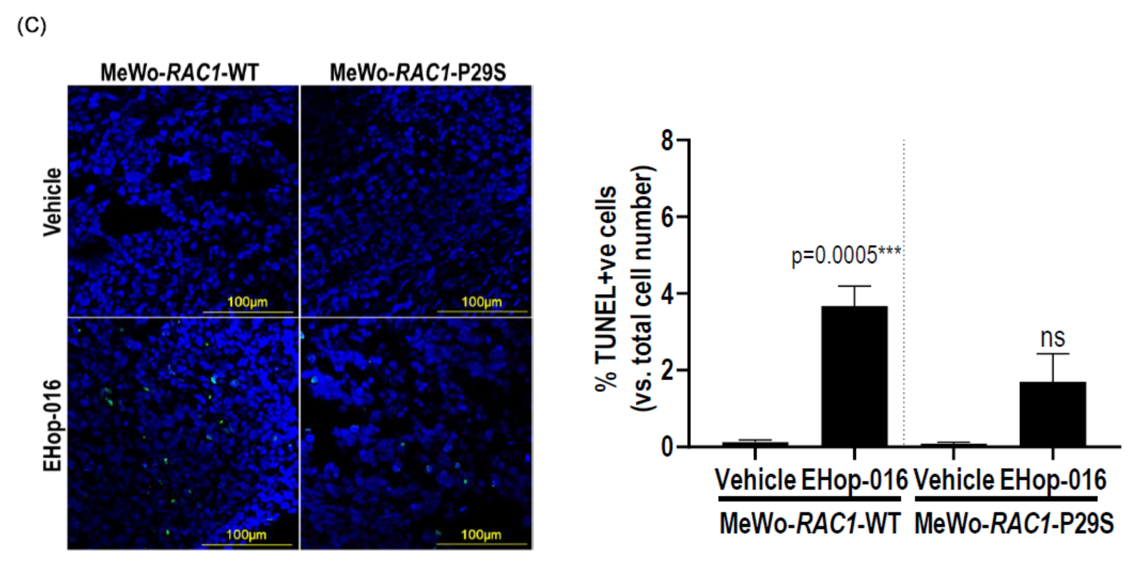 Cancers 17 00361 g005b