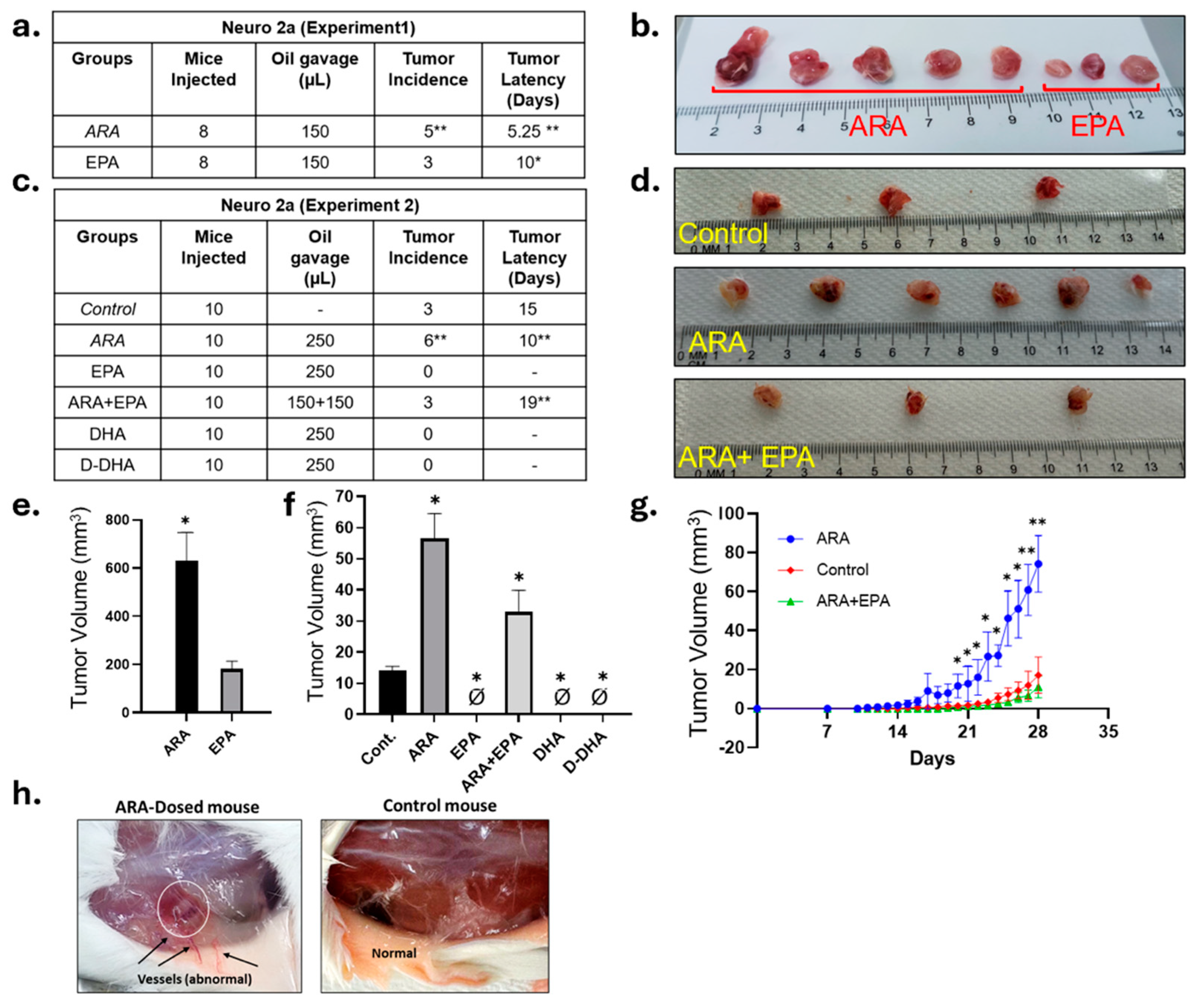 Cancers 17 00362 g001