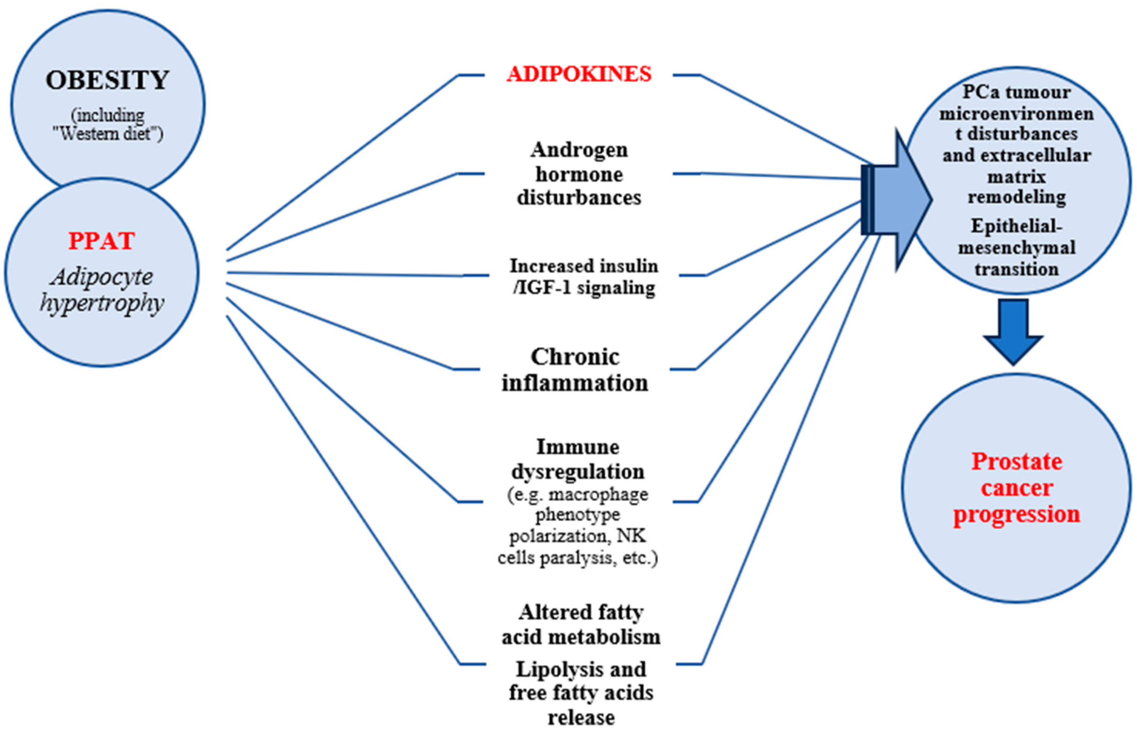 Cancers 17 00372 g001