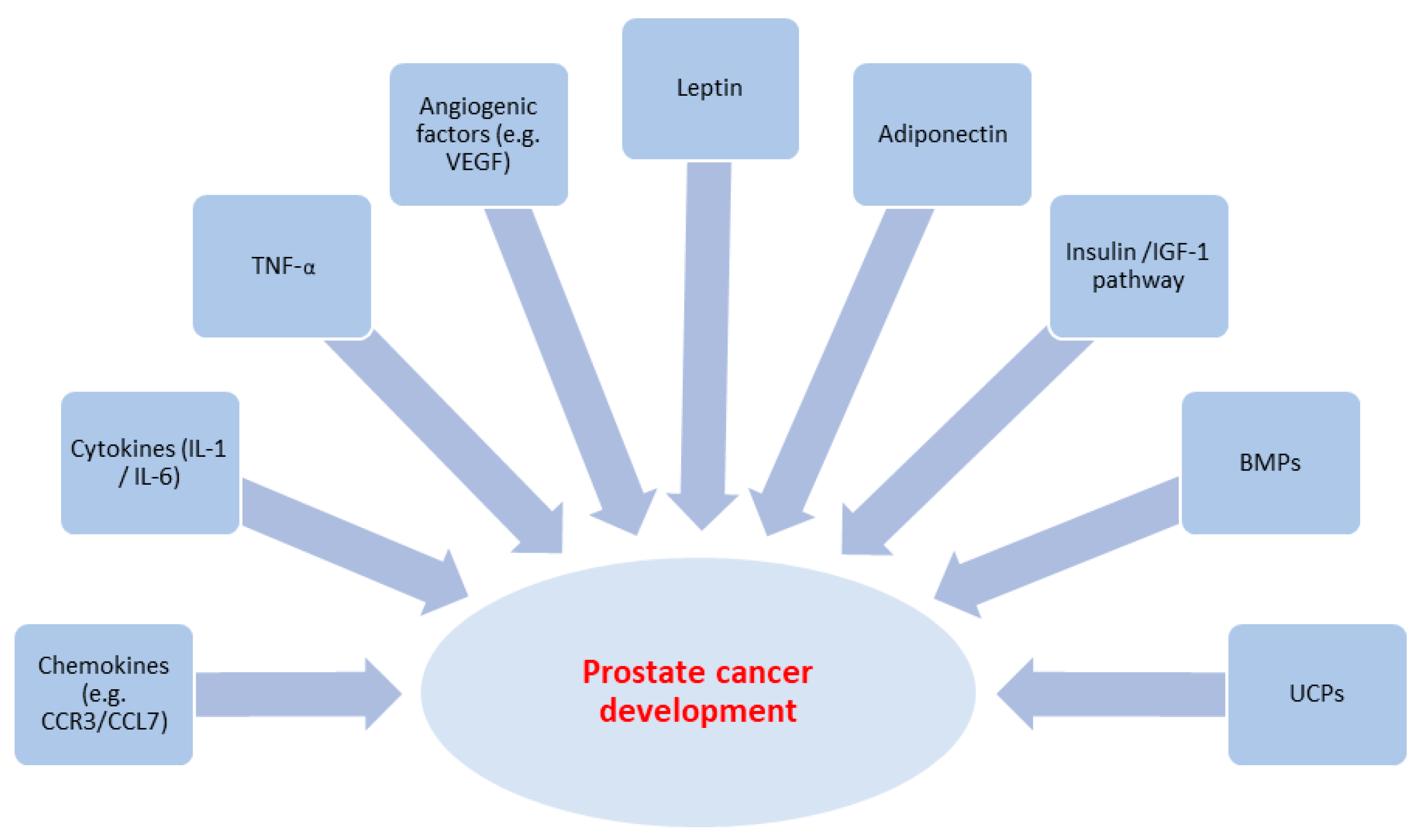 Cancers 17 00372 g002