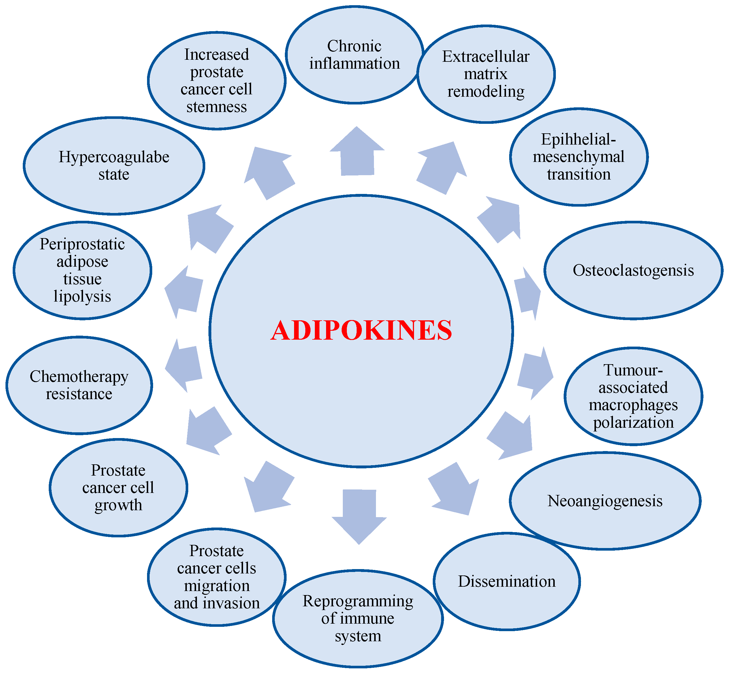 Cancers 17 00372 g003