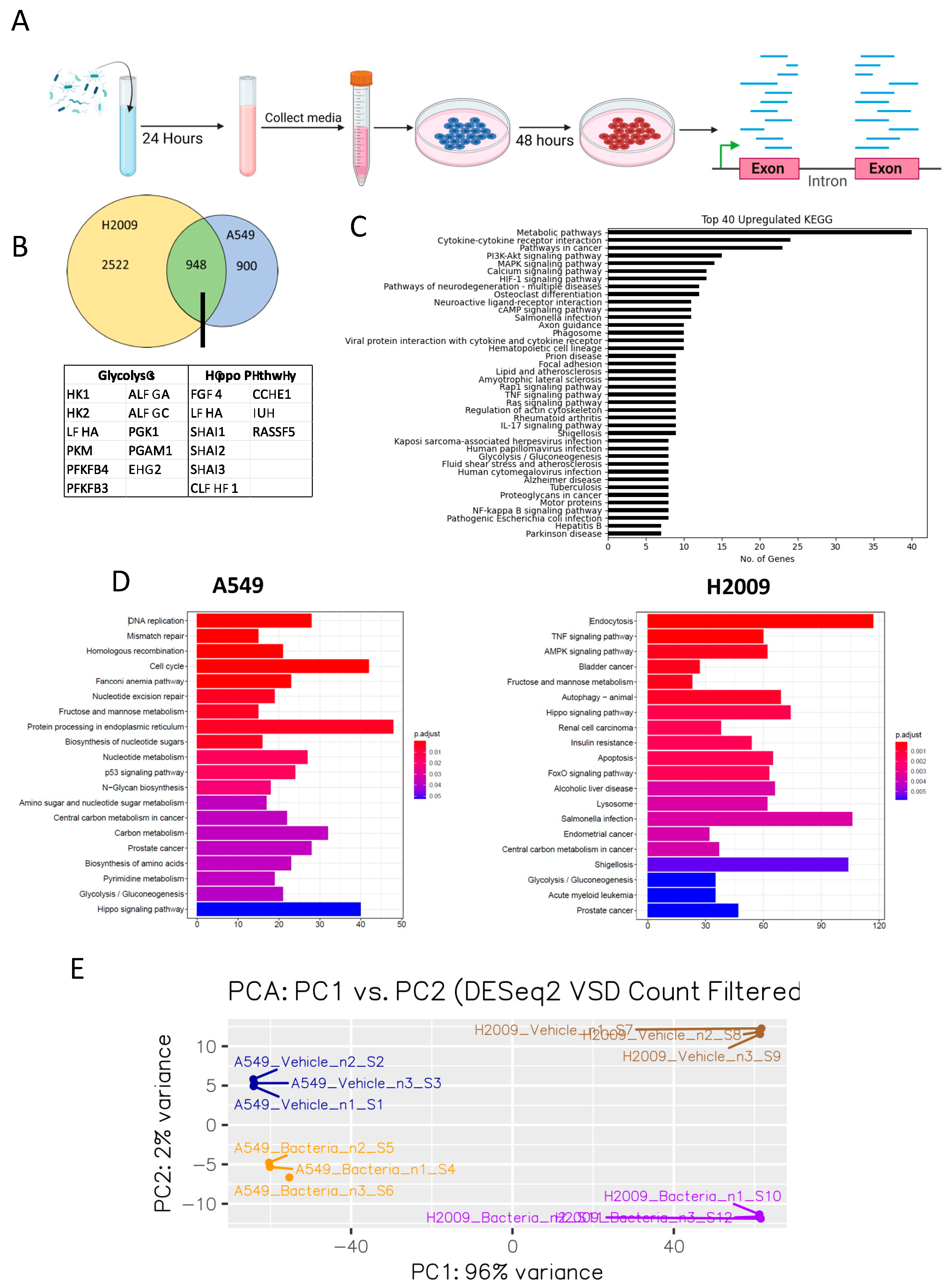Cancers 17 00380 g001