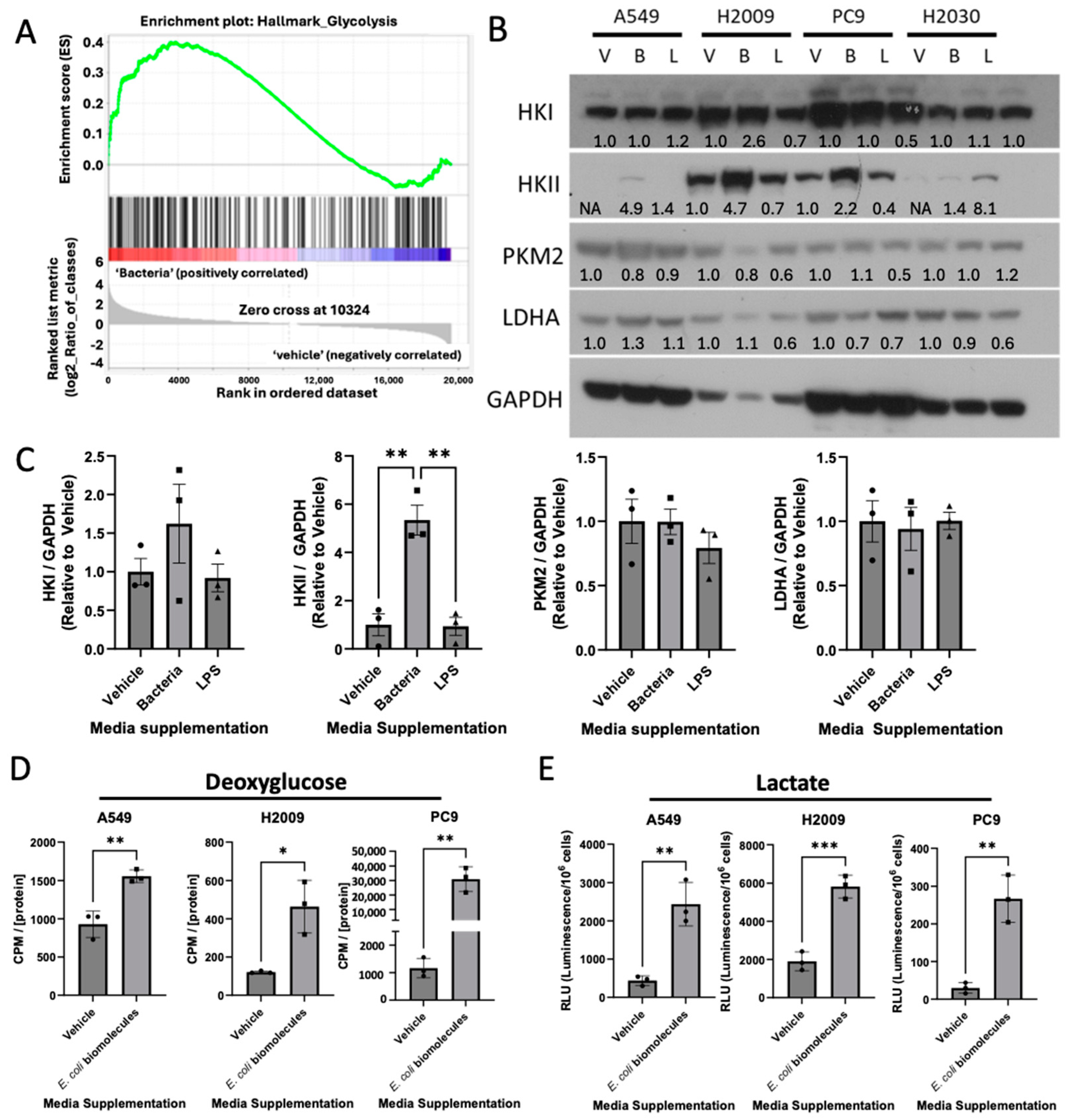 Cancers 17 00380 g002
