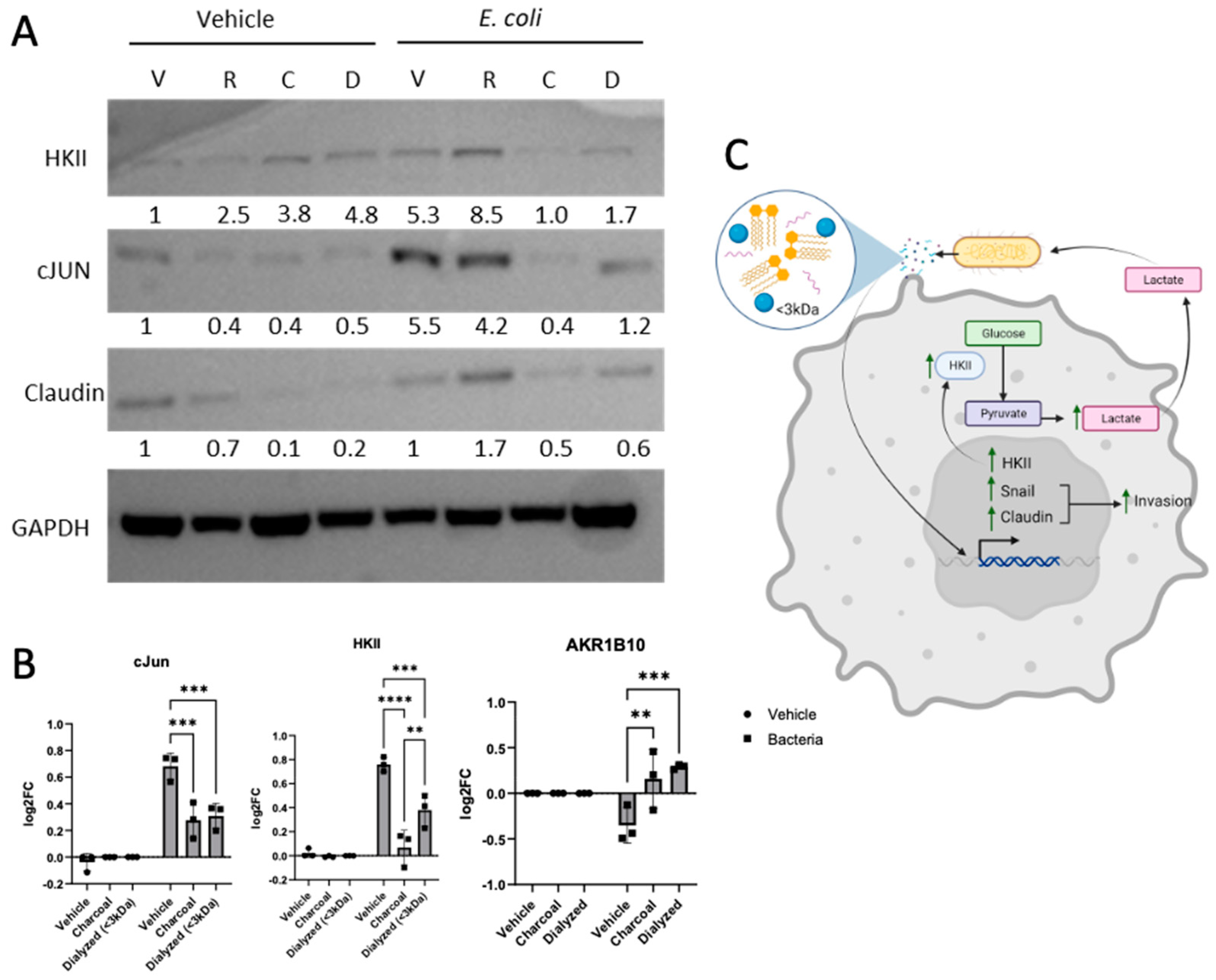 Cancers 17 00380 g006