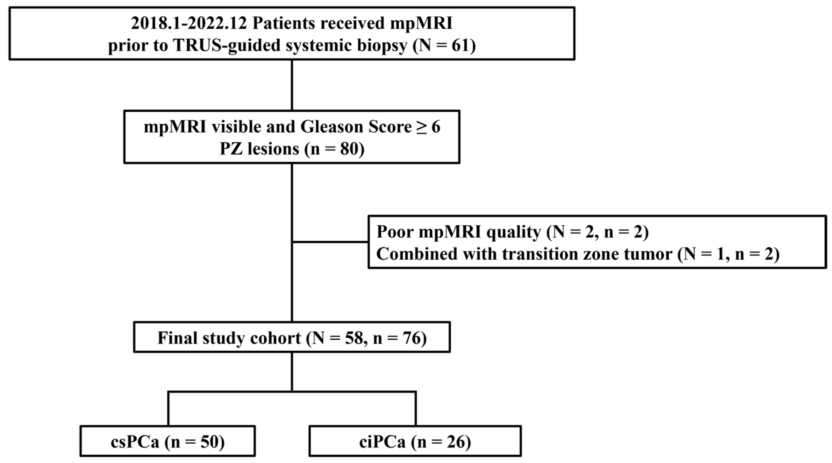 Cancers 17 00381 g001