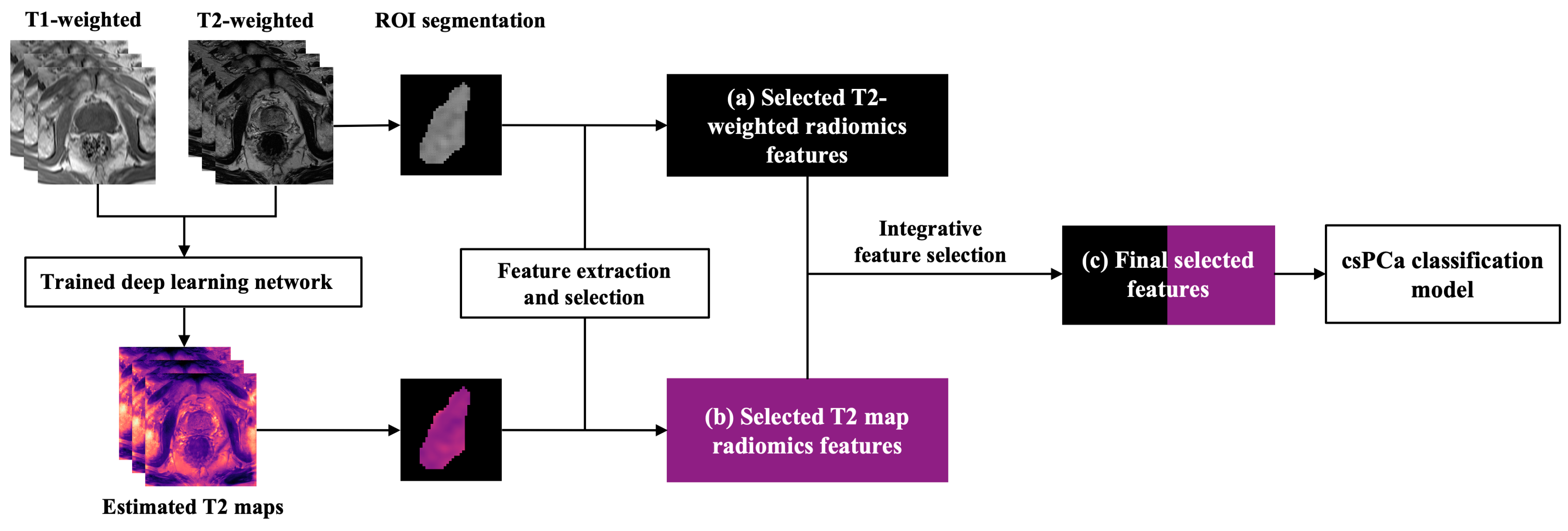 Cancers 17 00381 g002