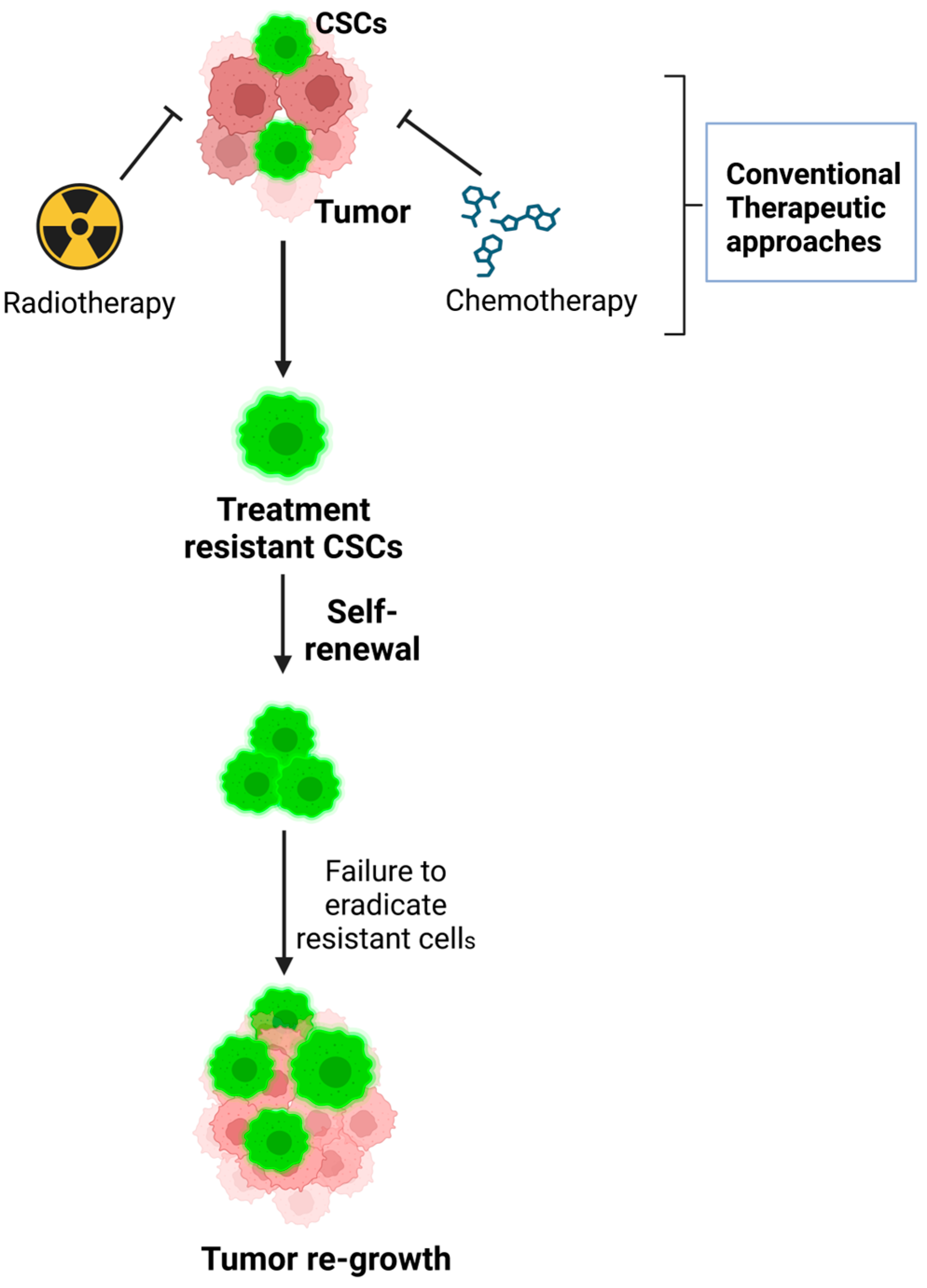 Cancers 17 00382 g001