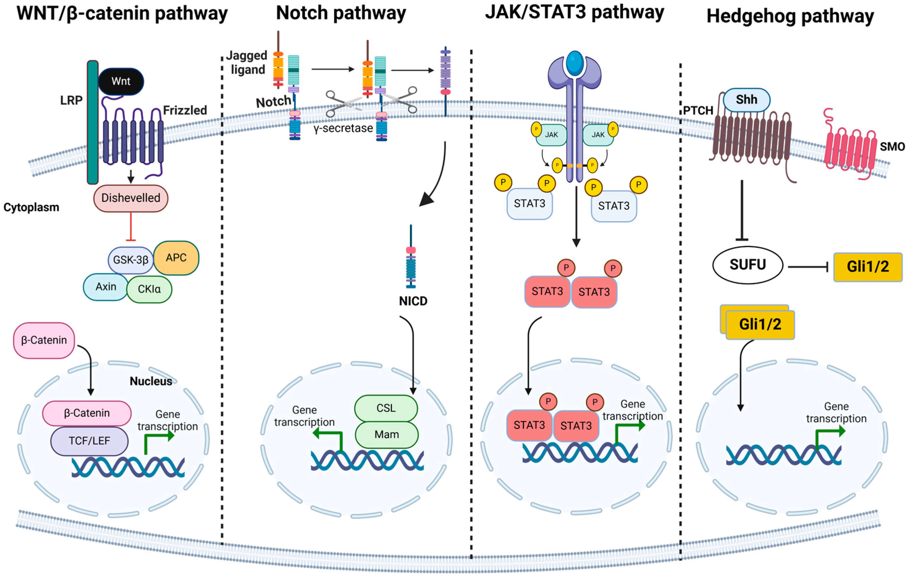 Cancers 17 00382 g002