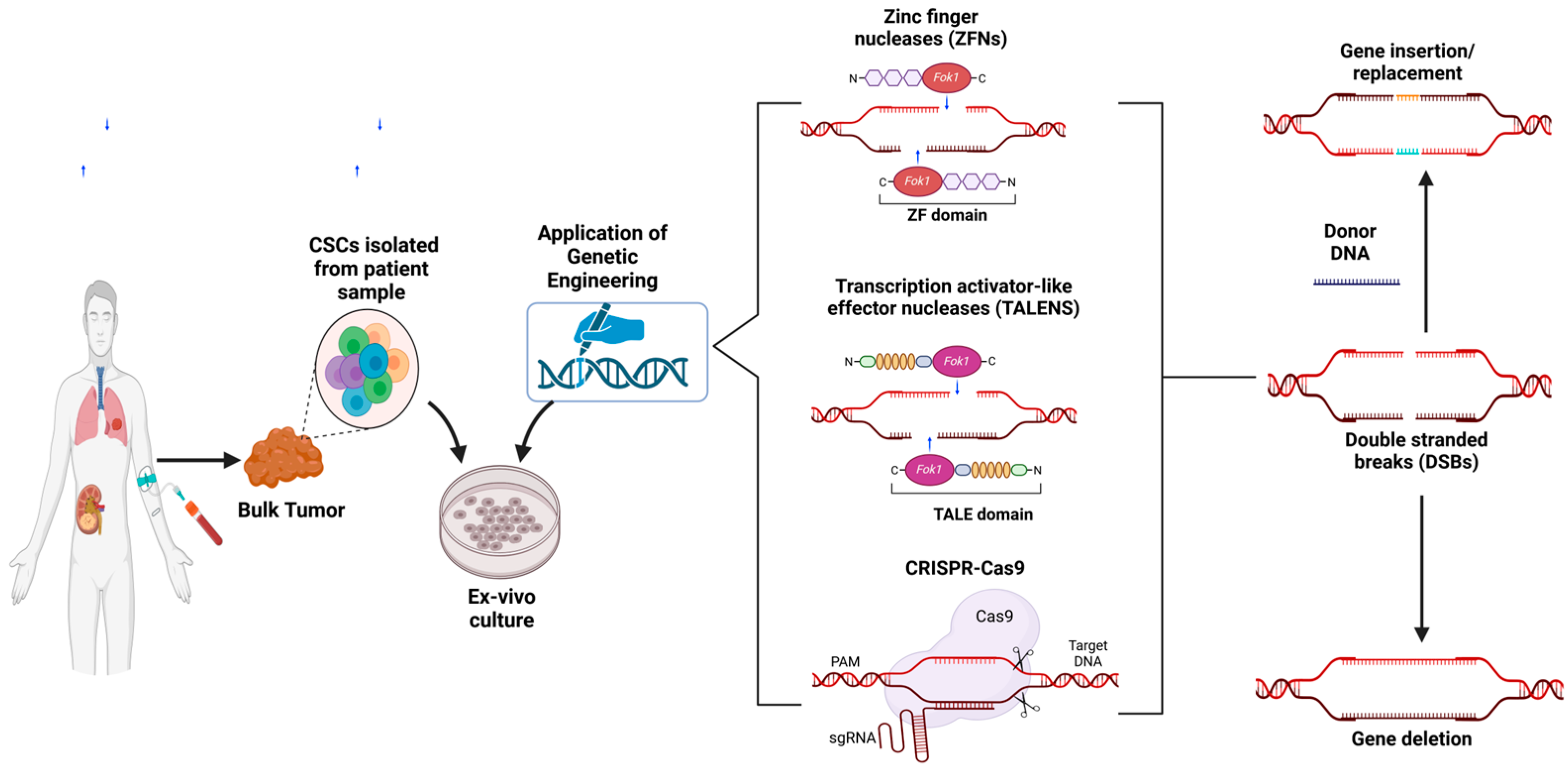 Cancers 17 00382 g003