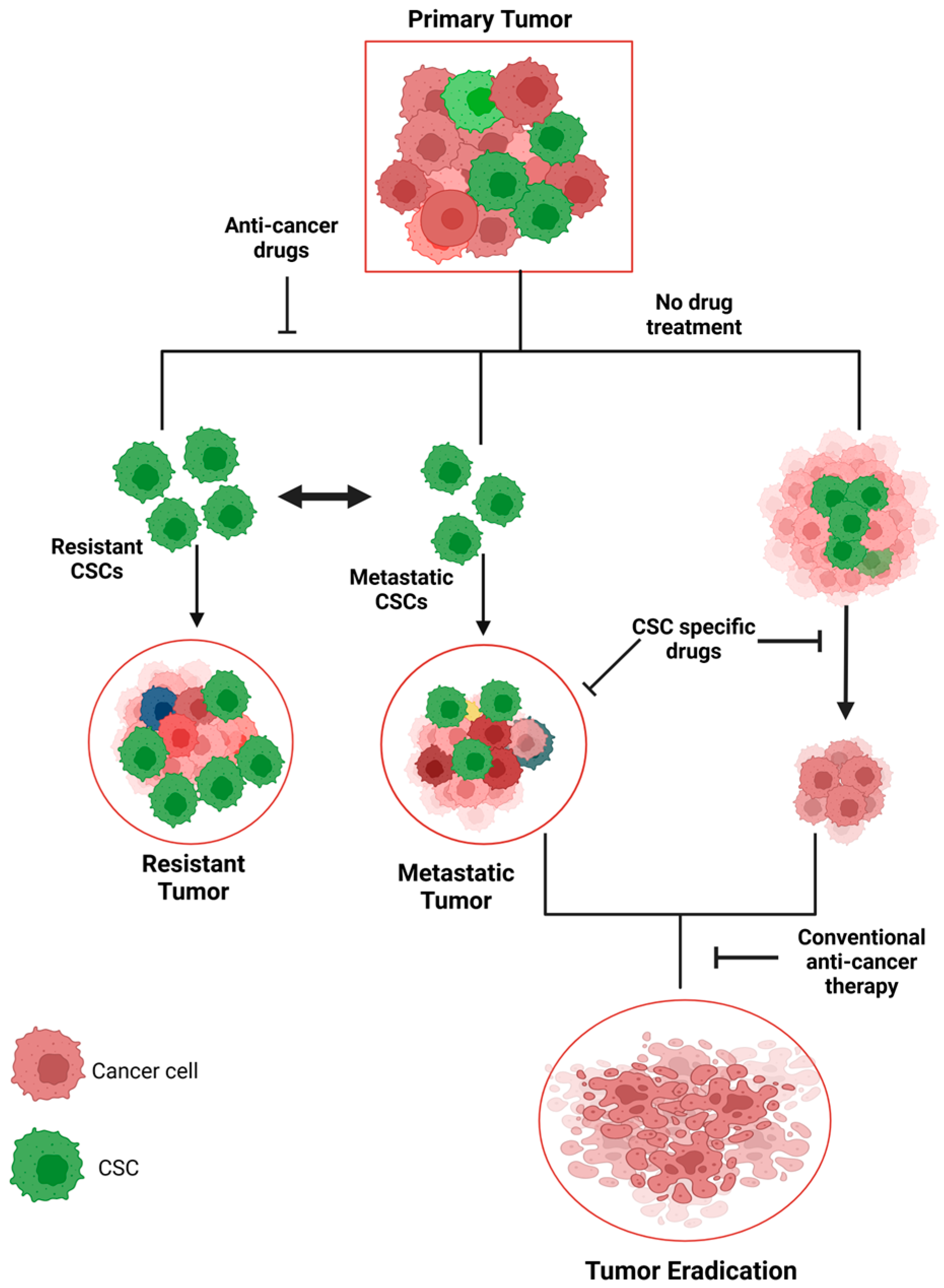 Cancers 17 00382 g005