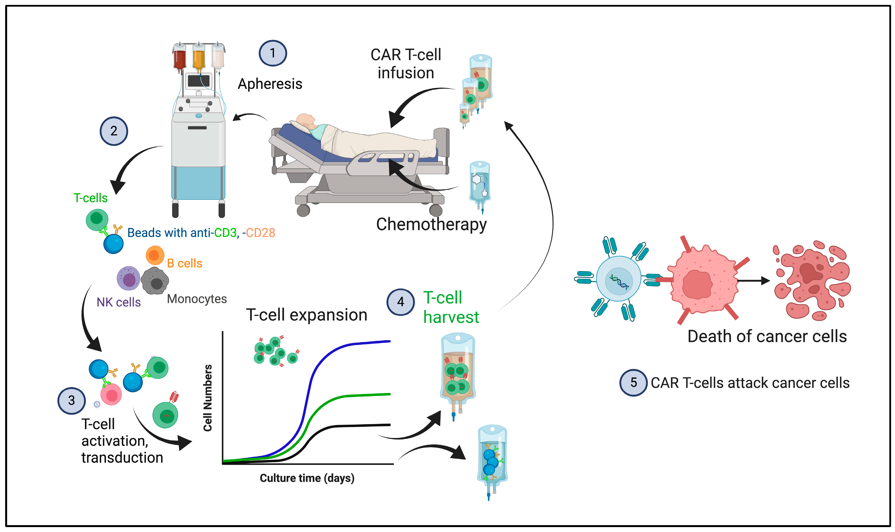 Cancers 17 00383 g001