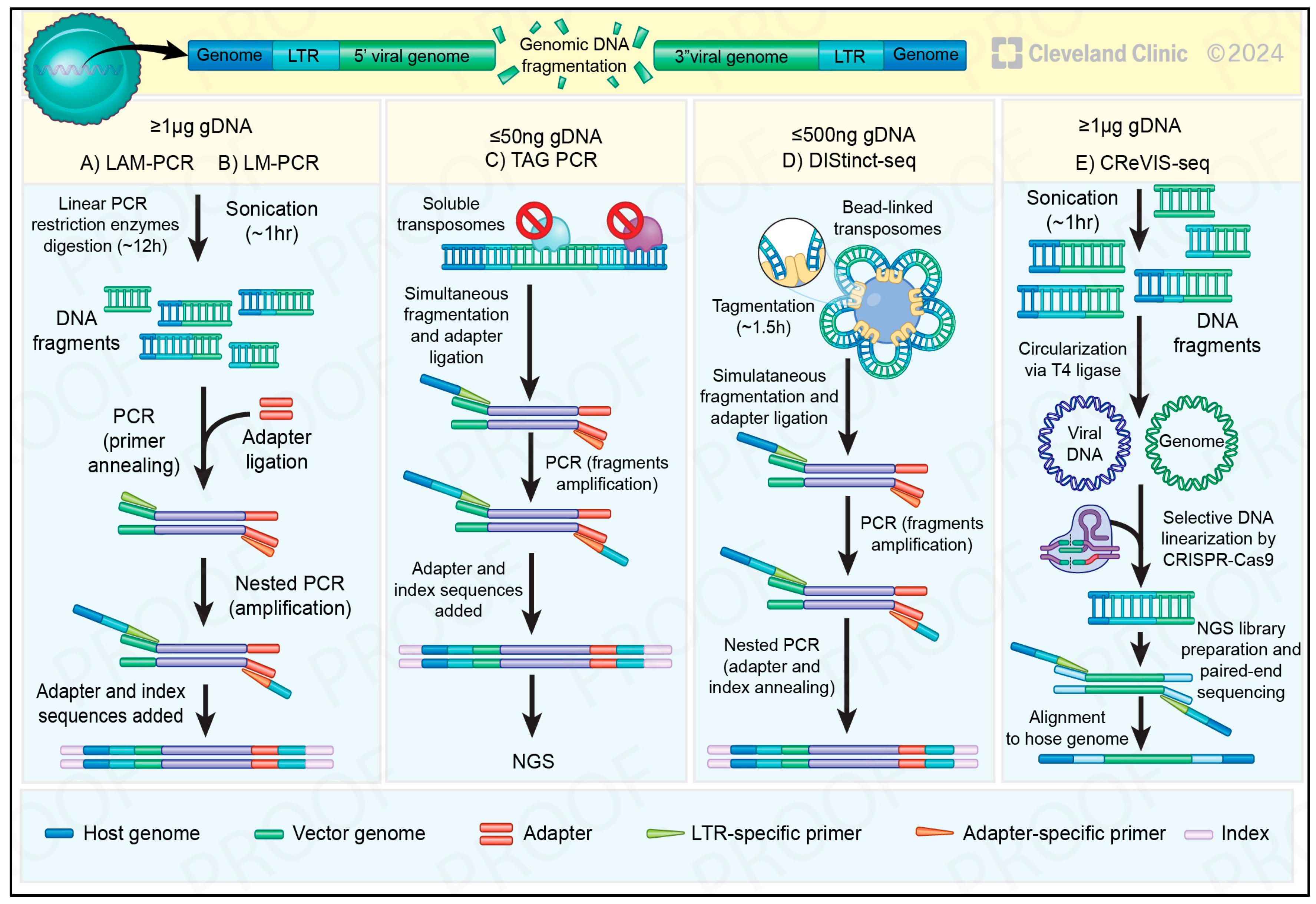 Cancers 17 00383 g003