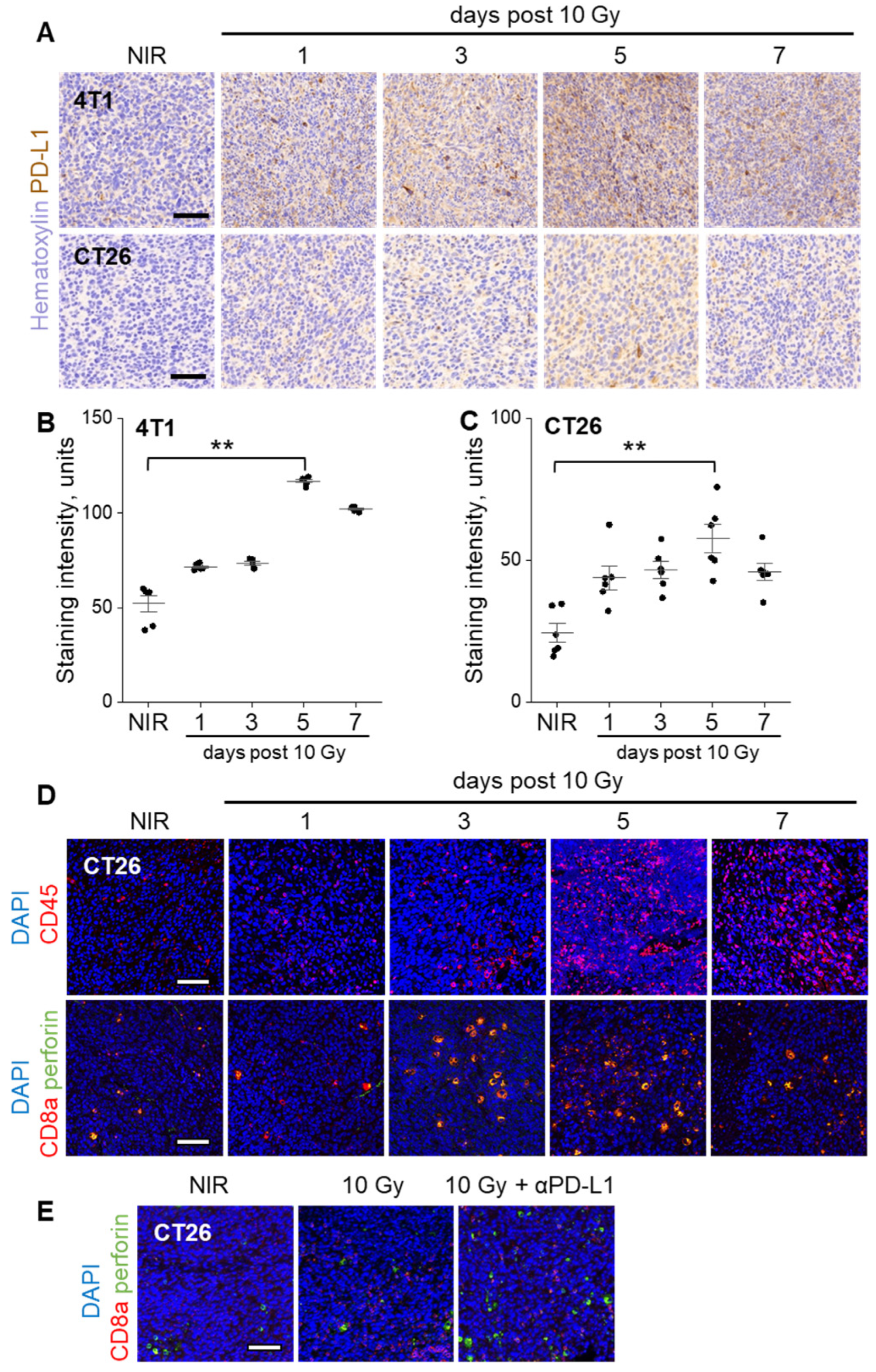 Cancers 17 00391 g002