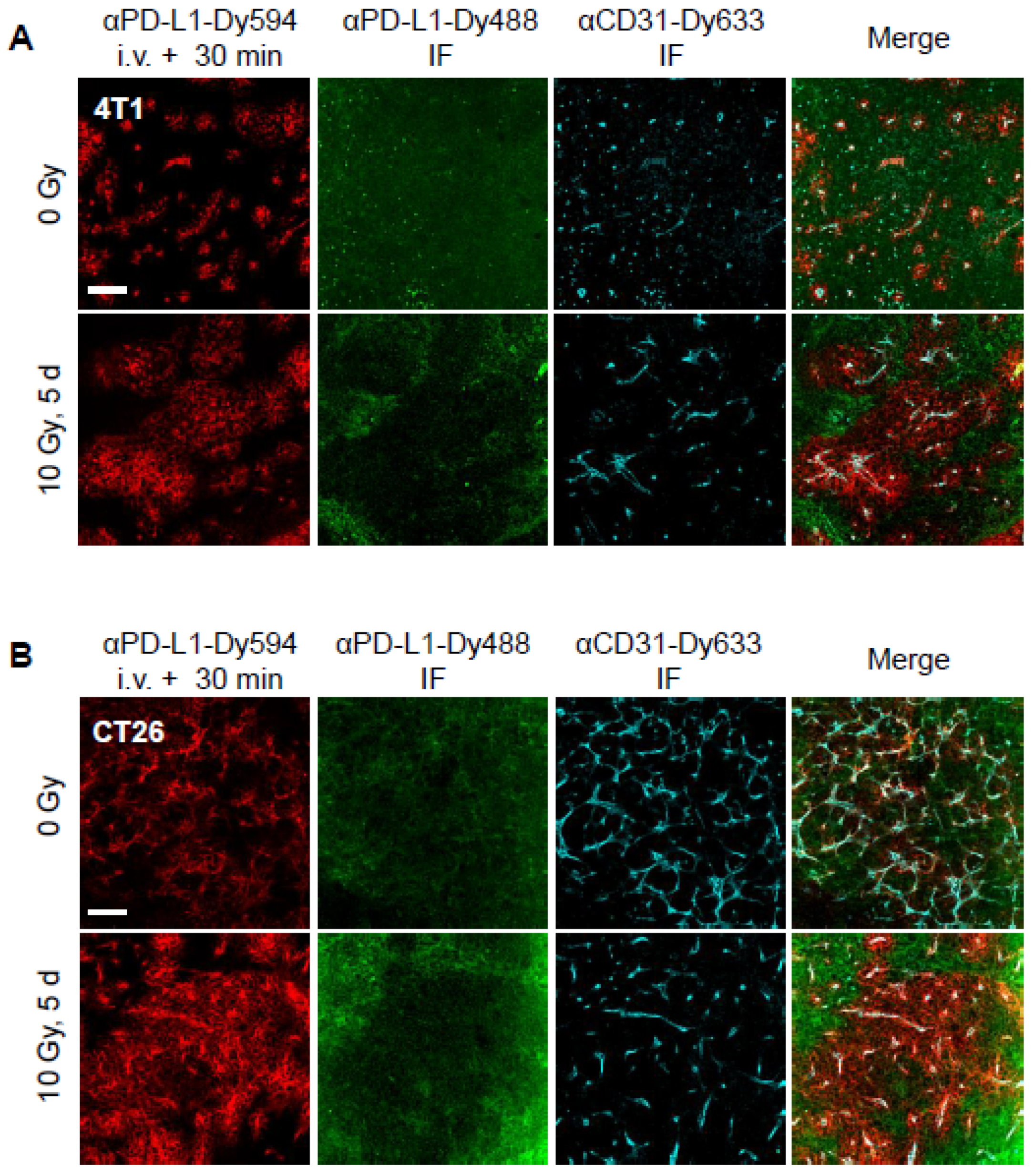Cancers 17 00391 g003