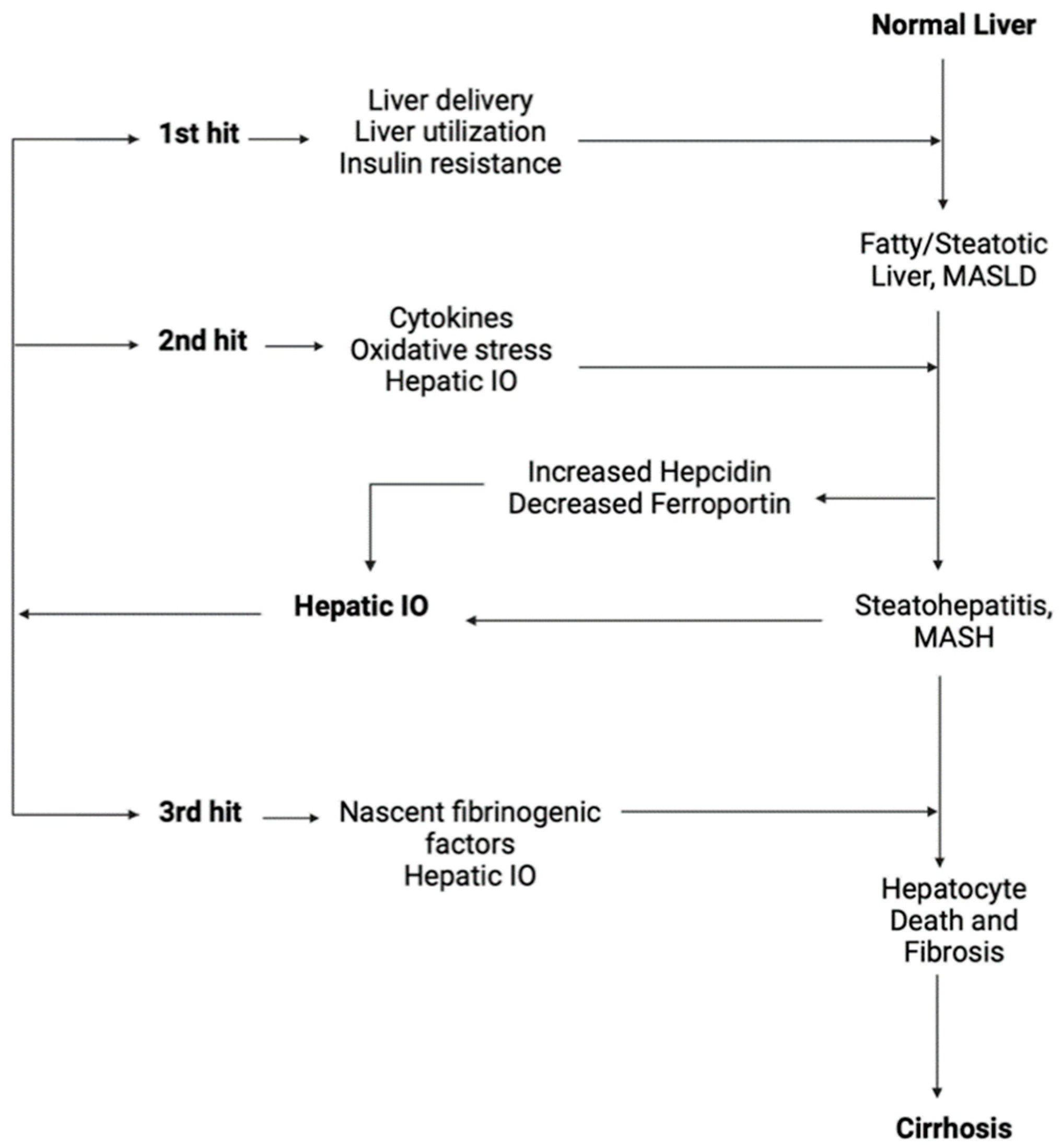 Cancers 17 00392 g002 Cancers 17 00392 g002