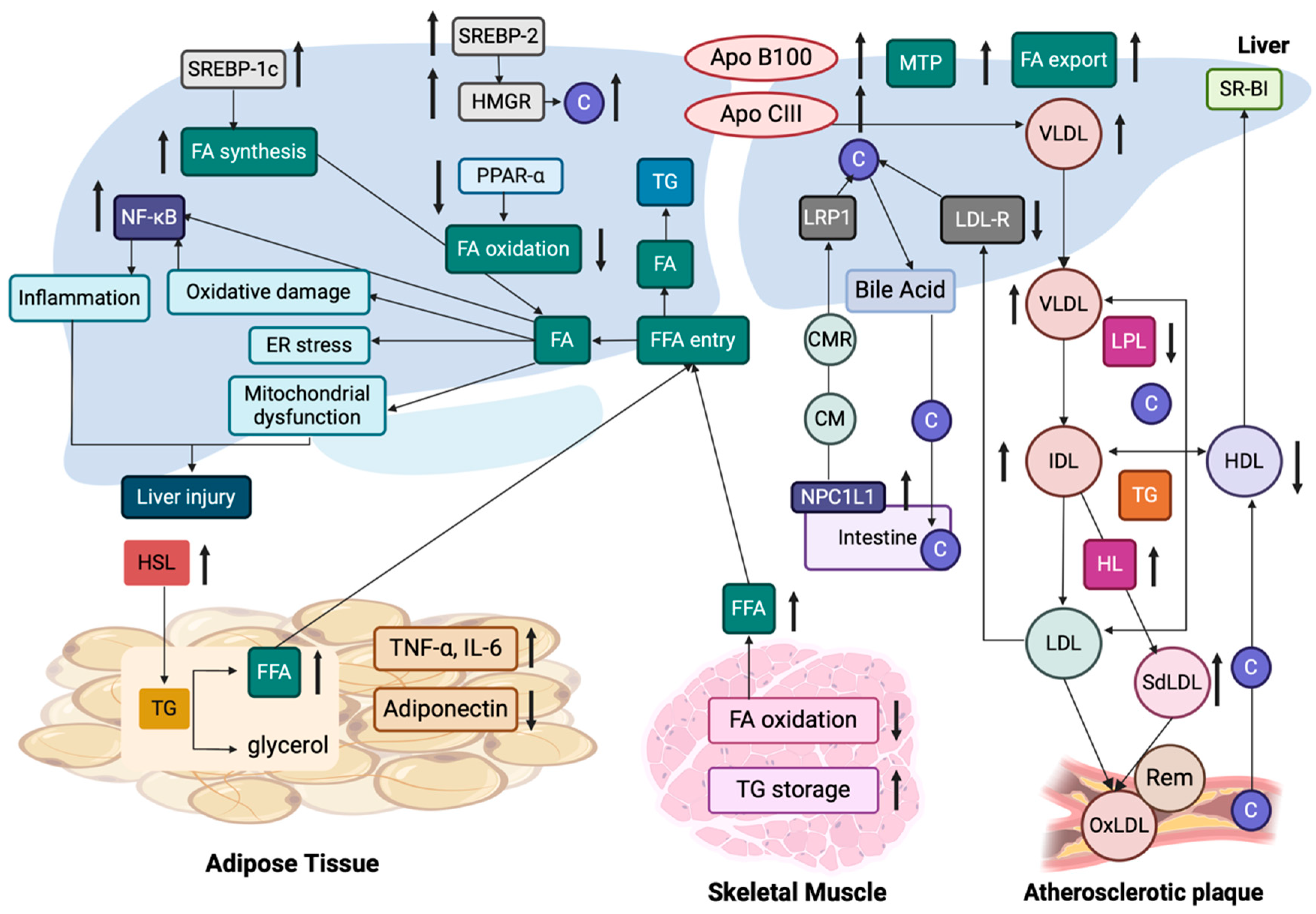 Cancers 17 00392 g004 Cancers 17 00392 g004