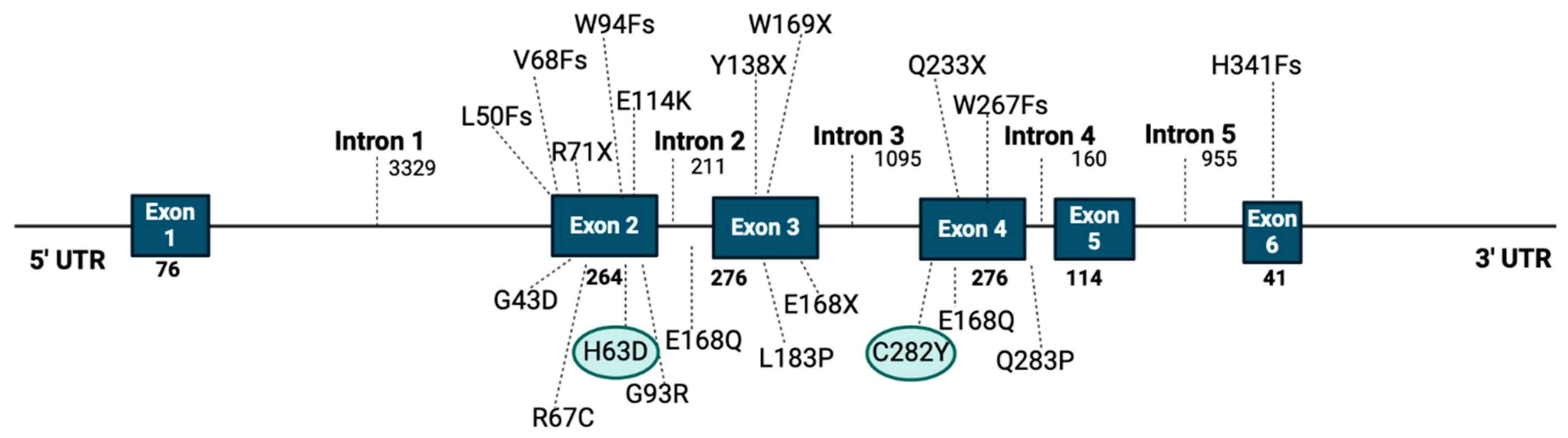 Cancers 17 00392 g005 Cancers 17 00392 g005