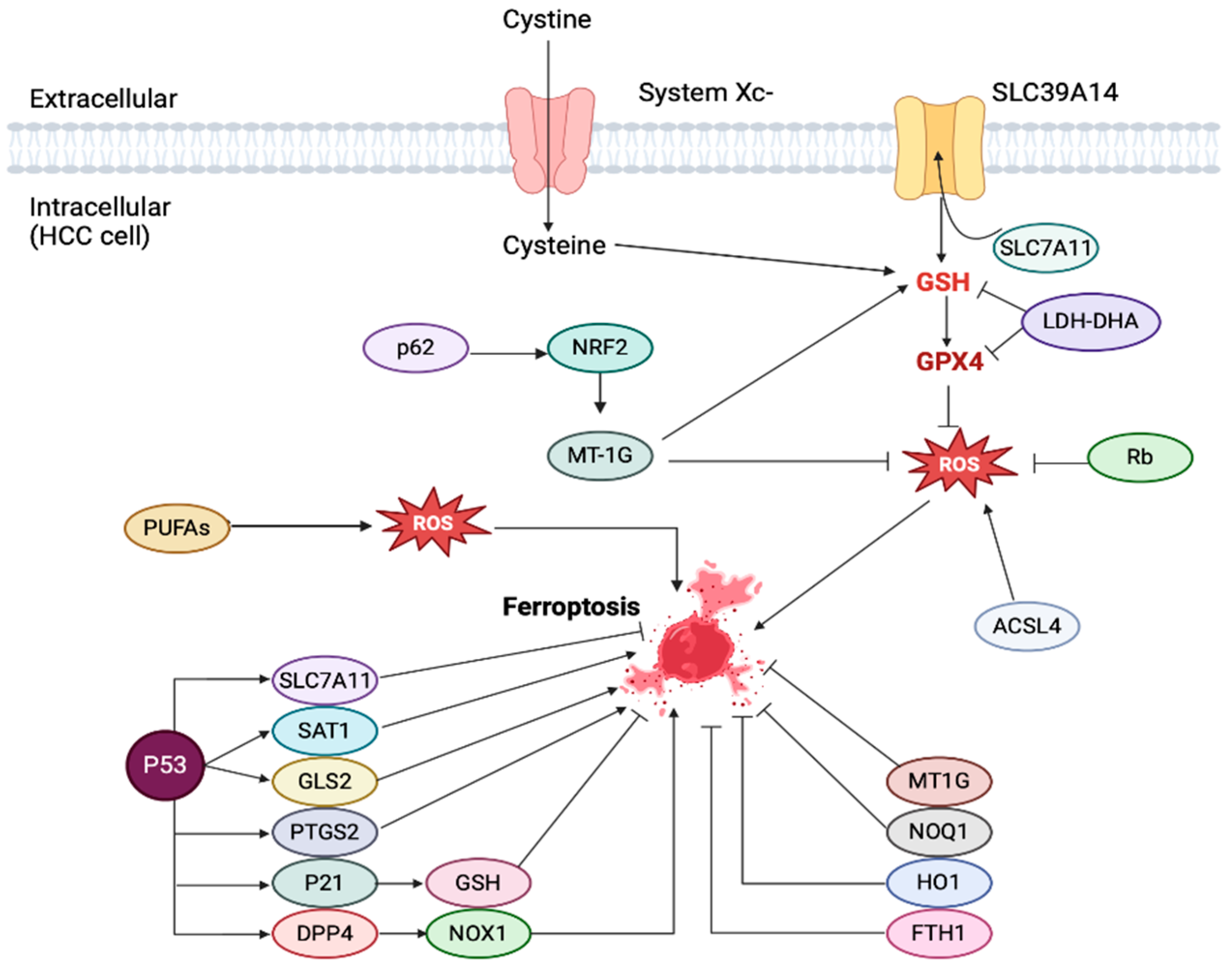 Cancers 17 00392 g006 Cancers 17 00392 g006