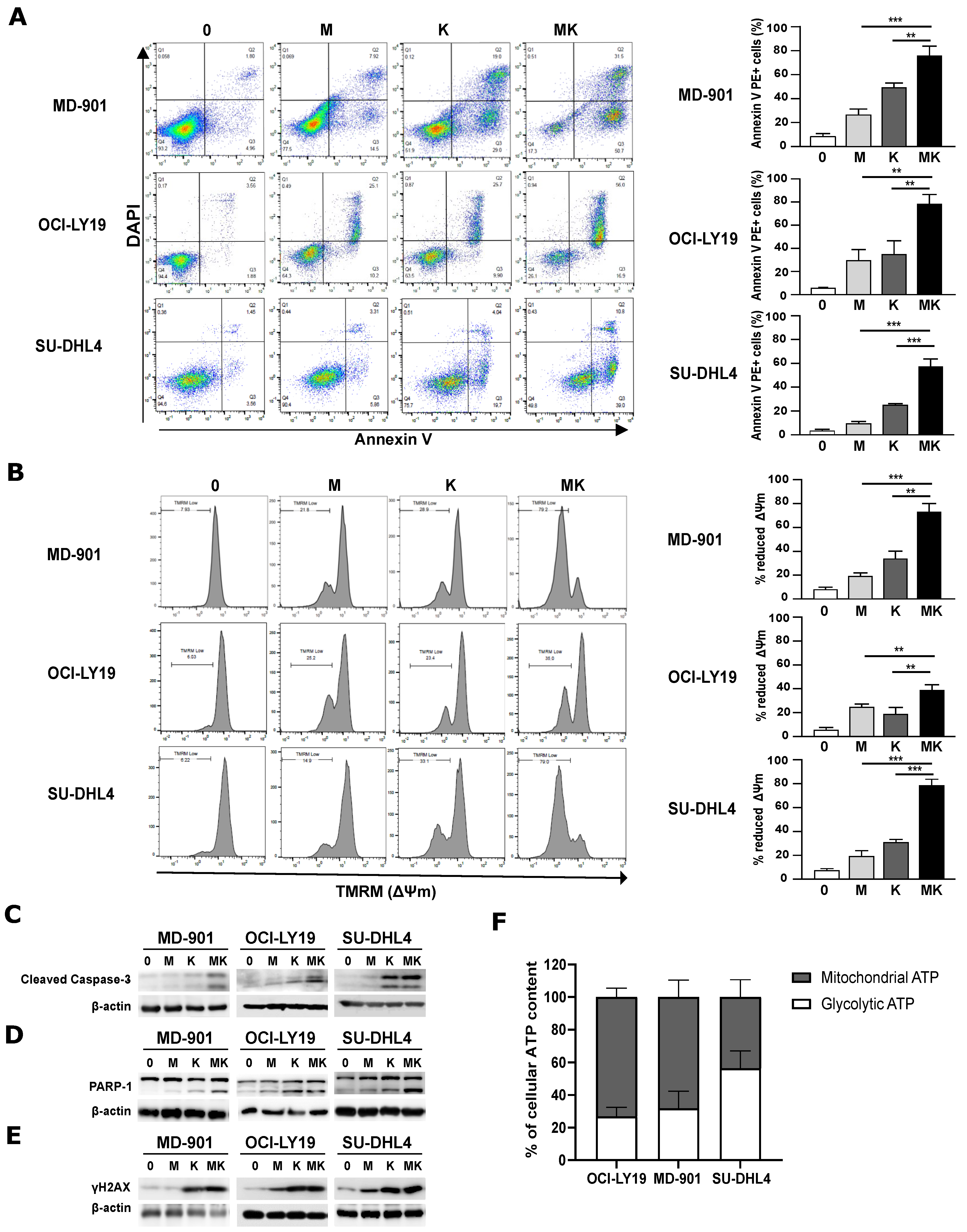 Cancers 17 00394 g001
