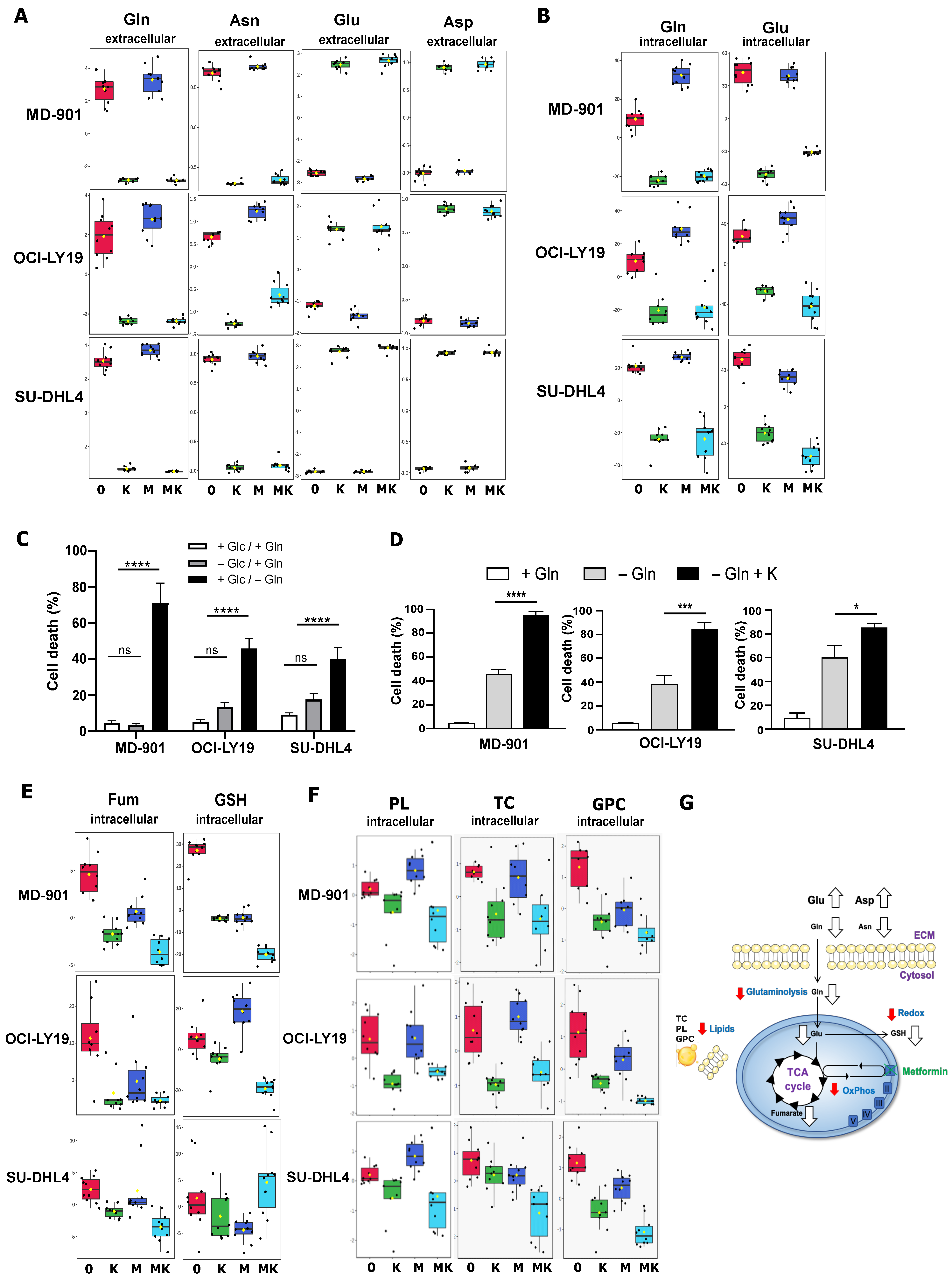 Cancers 17 00394 g002