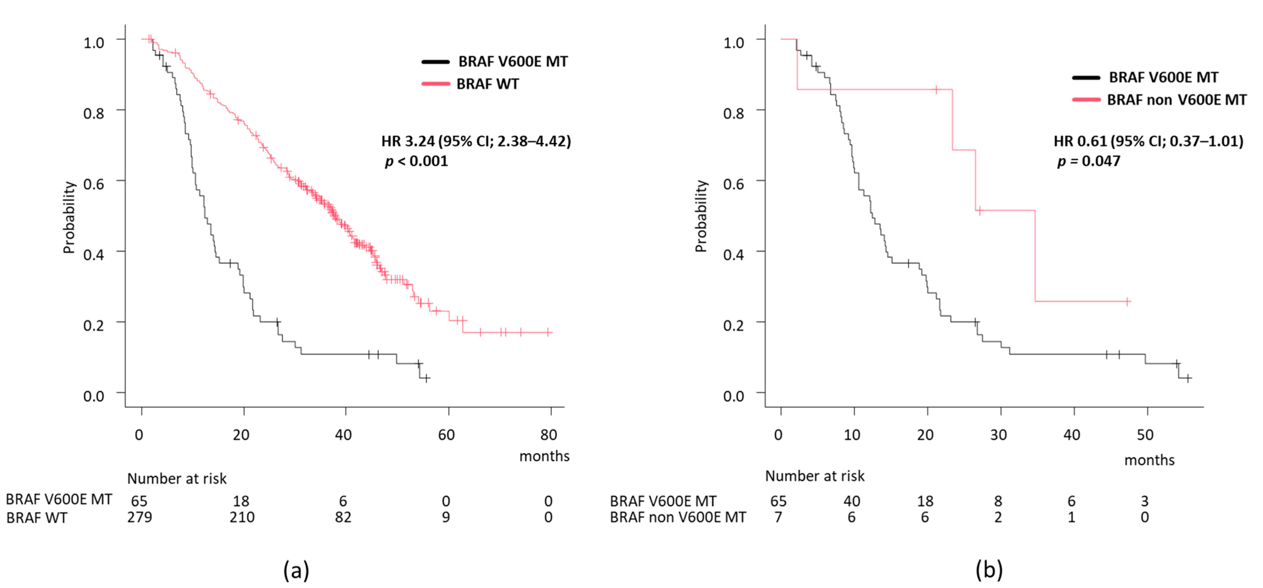 Cancers 17 00399 g001