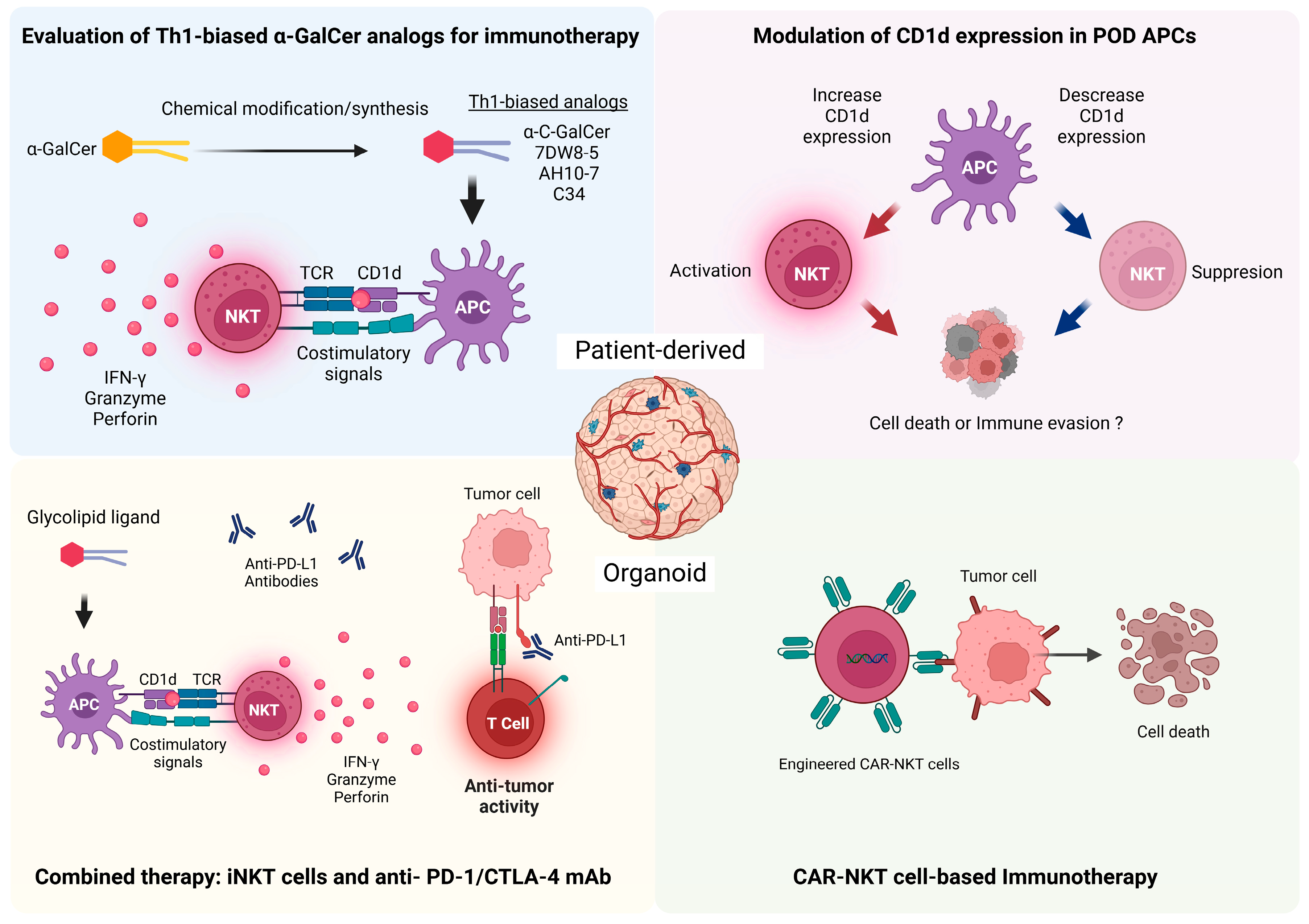 Cancers 17 00406 g001