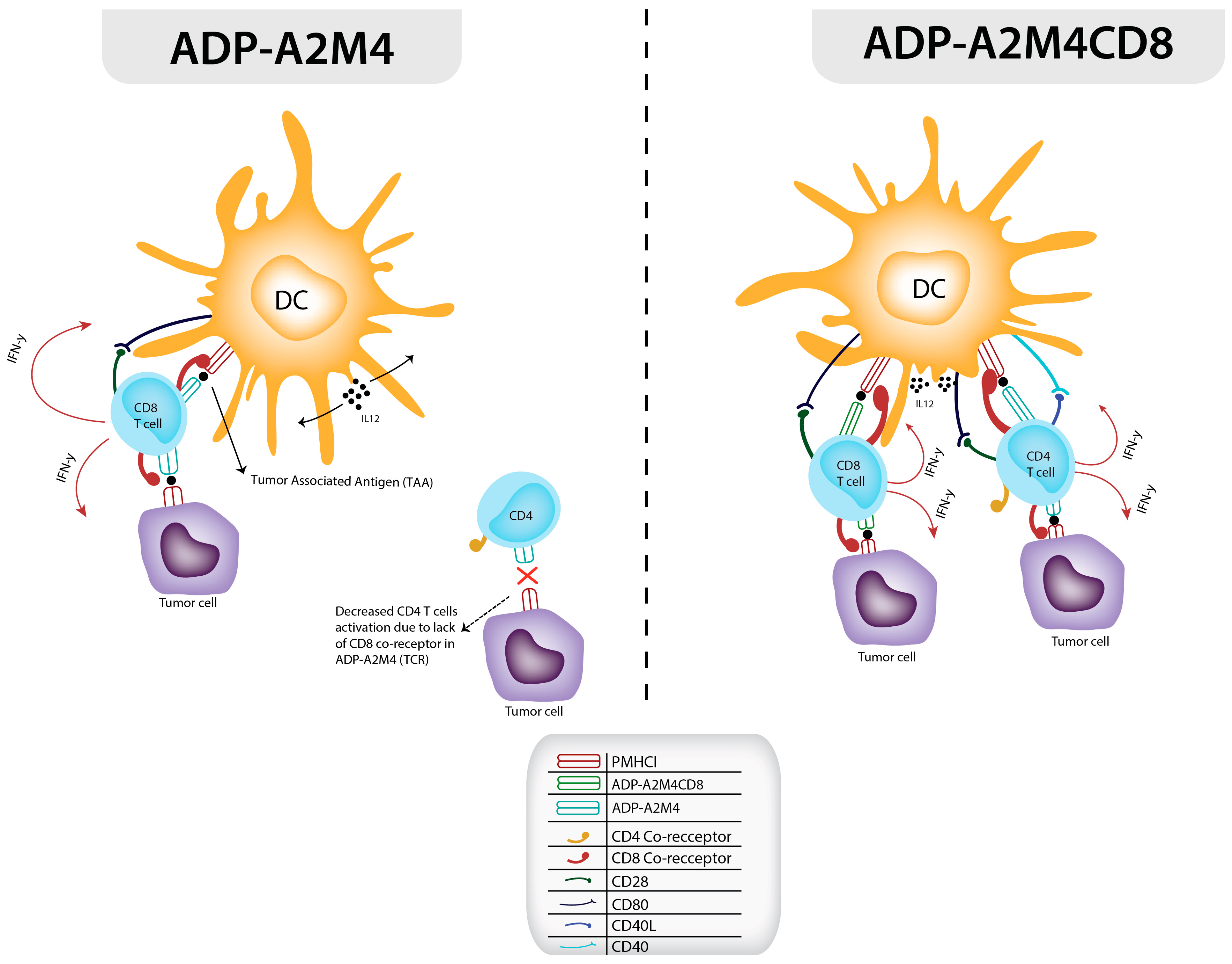 Cancers 17 00413 g001 Cancers 17 00413 g001
