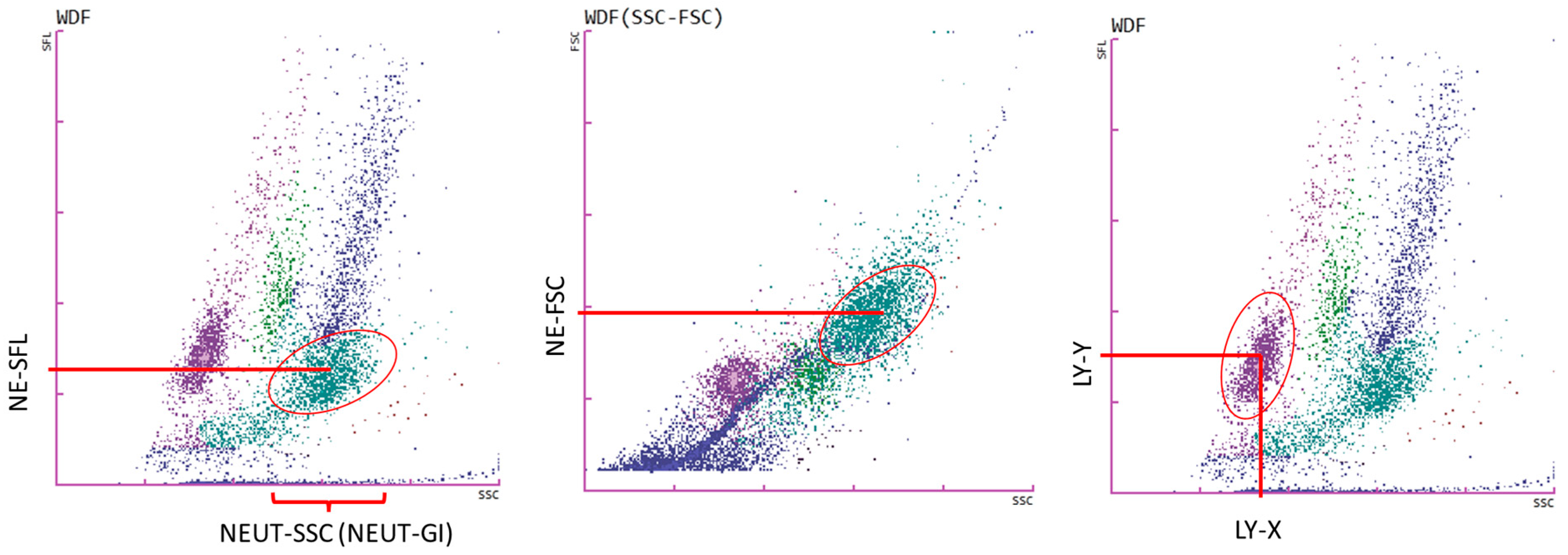 Cancers 17 00431 g001