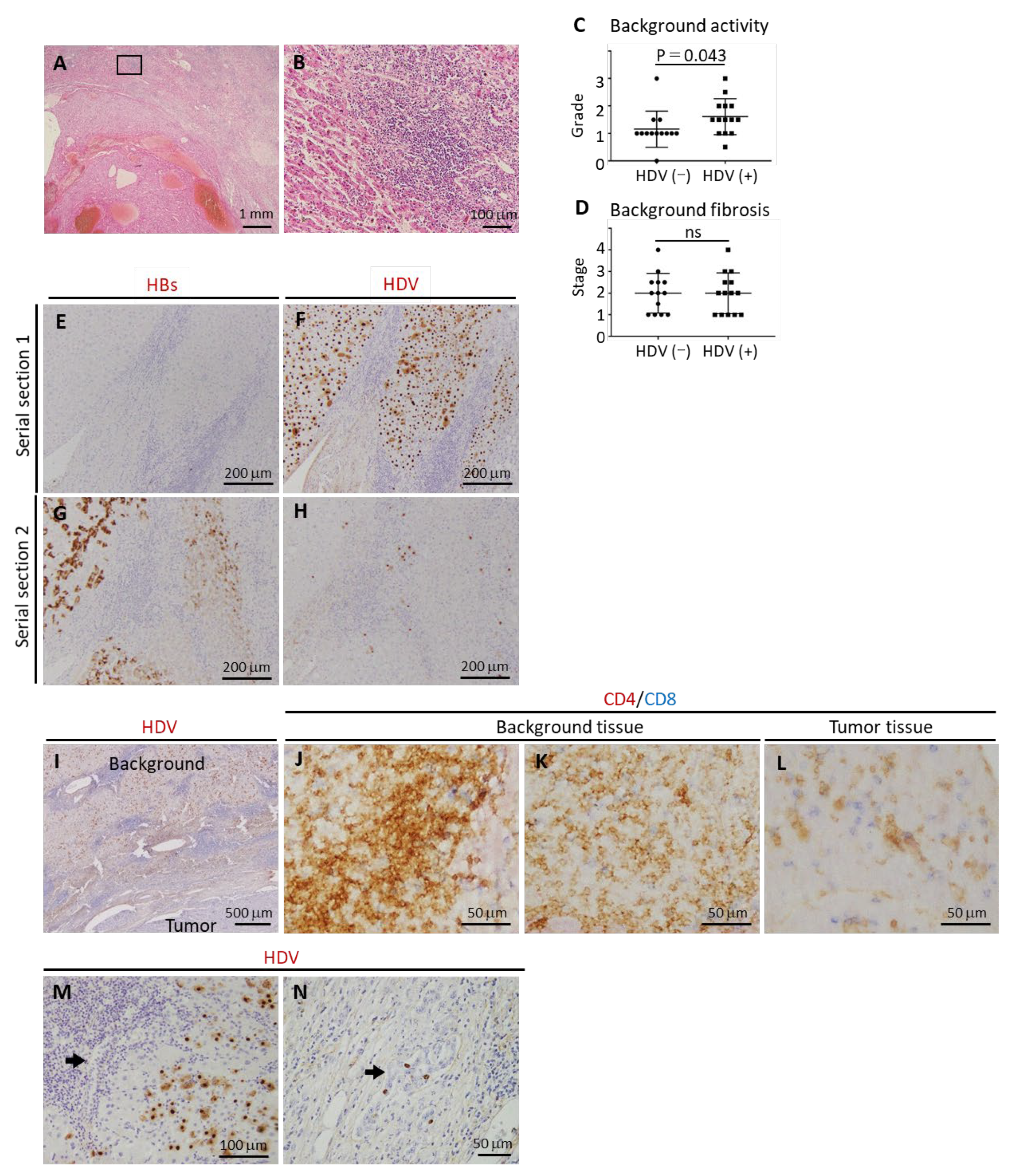 Cancers 17 00432 g002