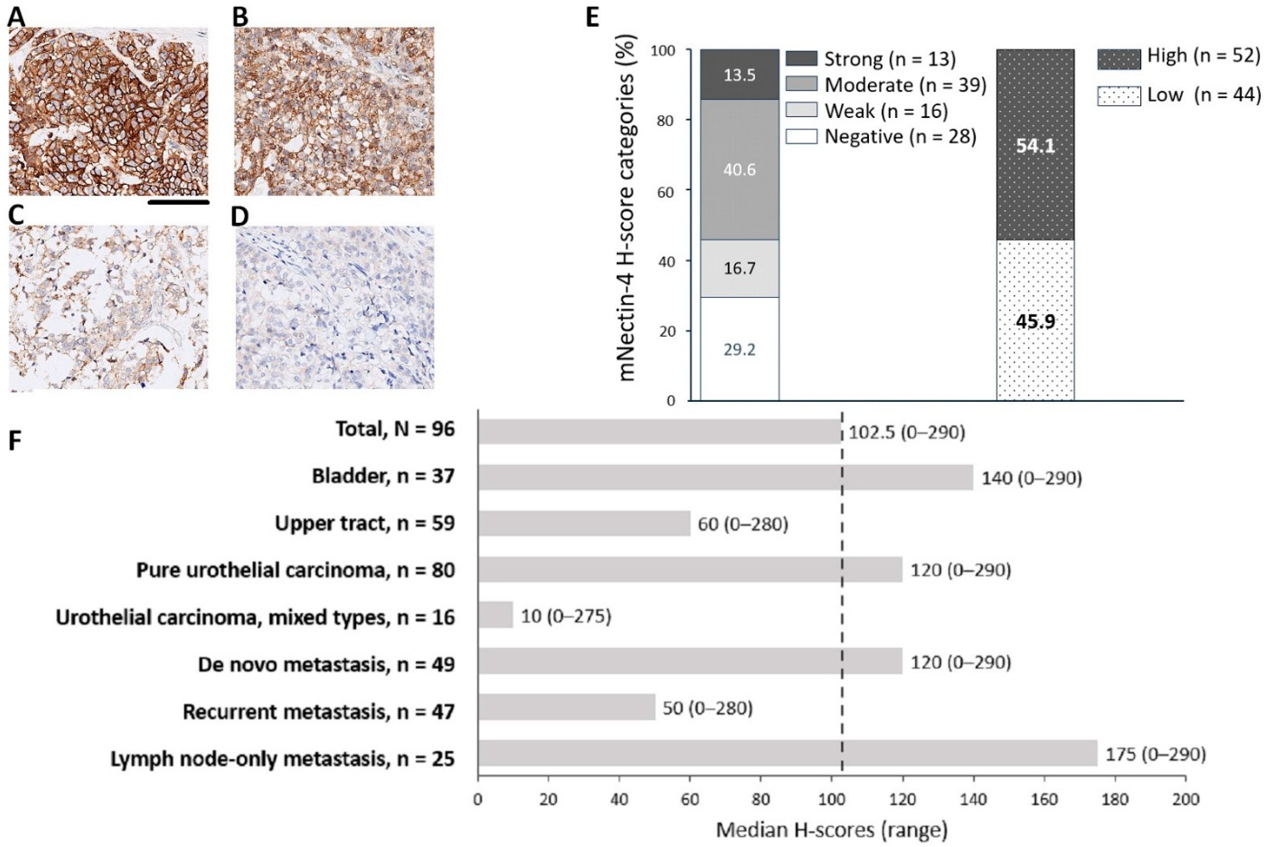 Cancers 17 00433 g001