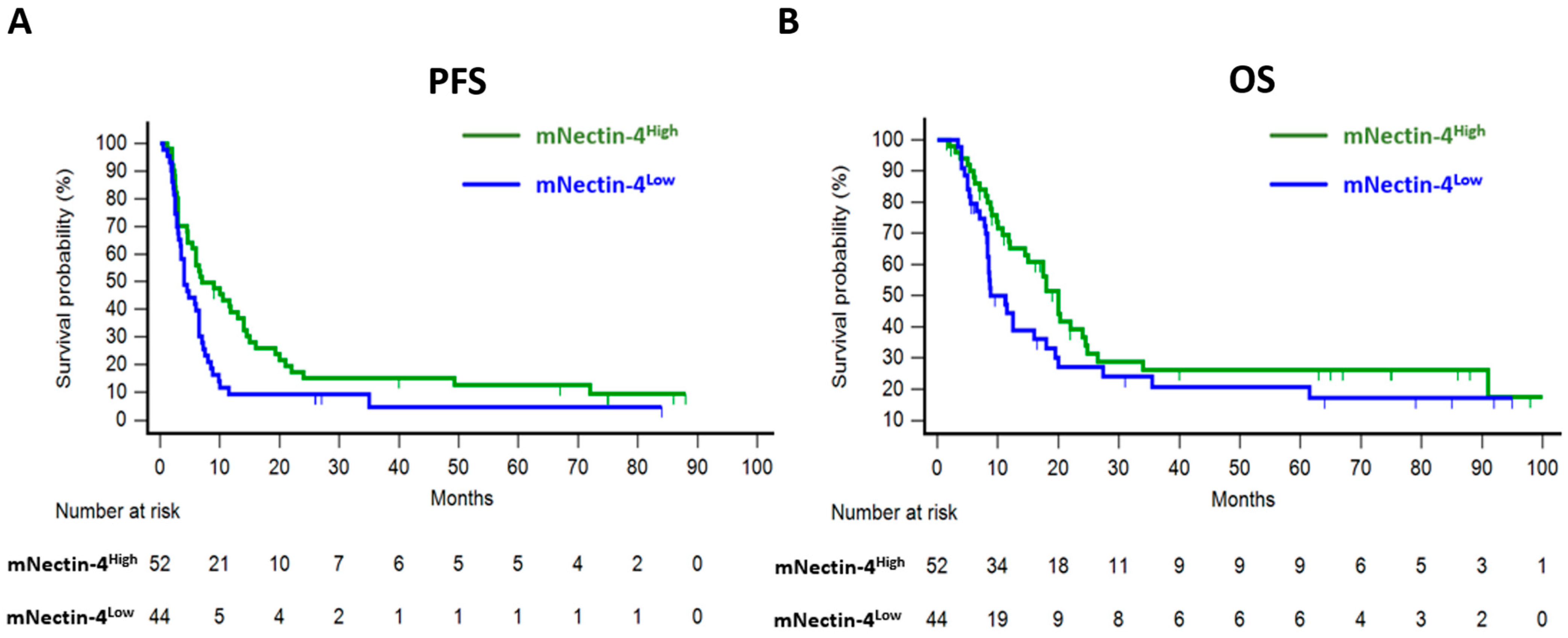 Cancers 17 00433 g002