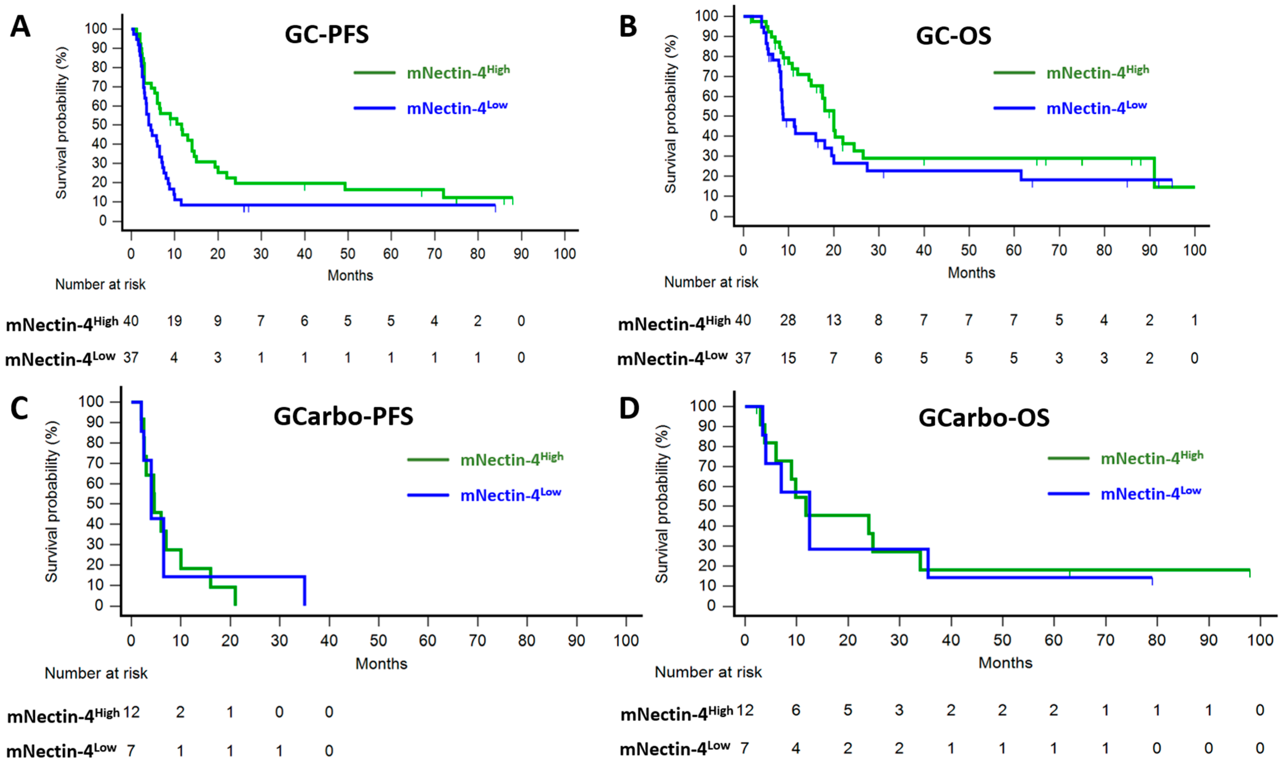 Cancers 17 00433 g003