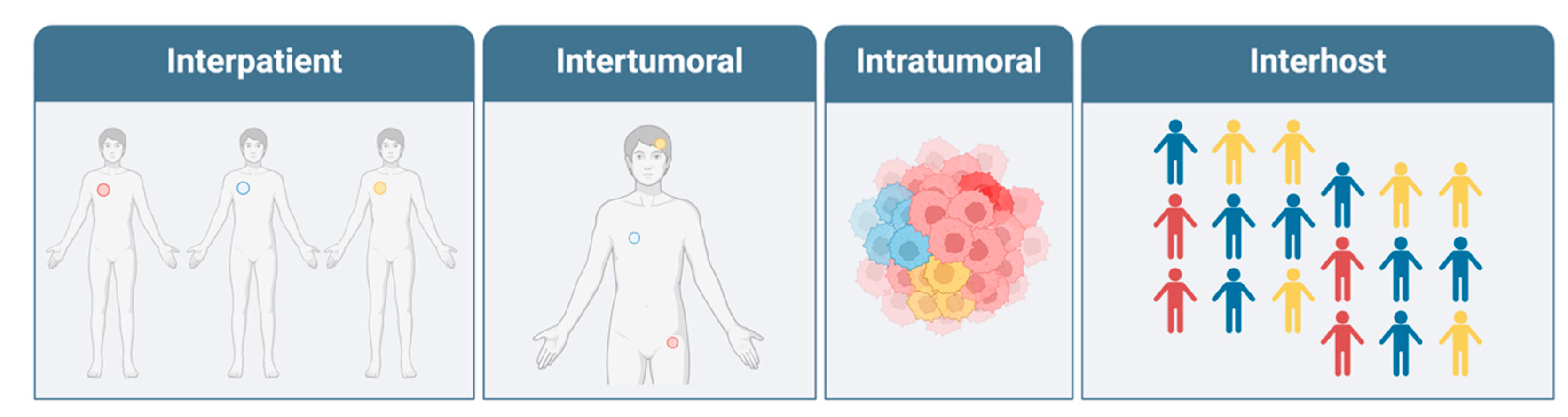 Cancers 17 00441 g001