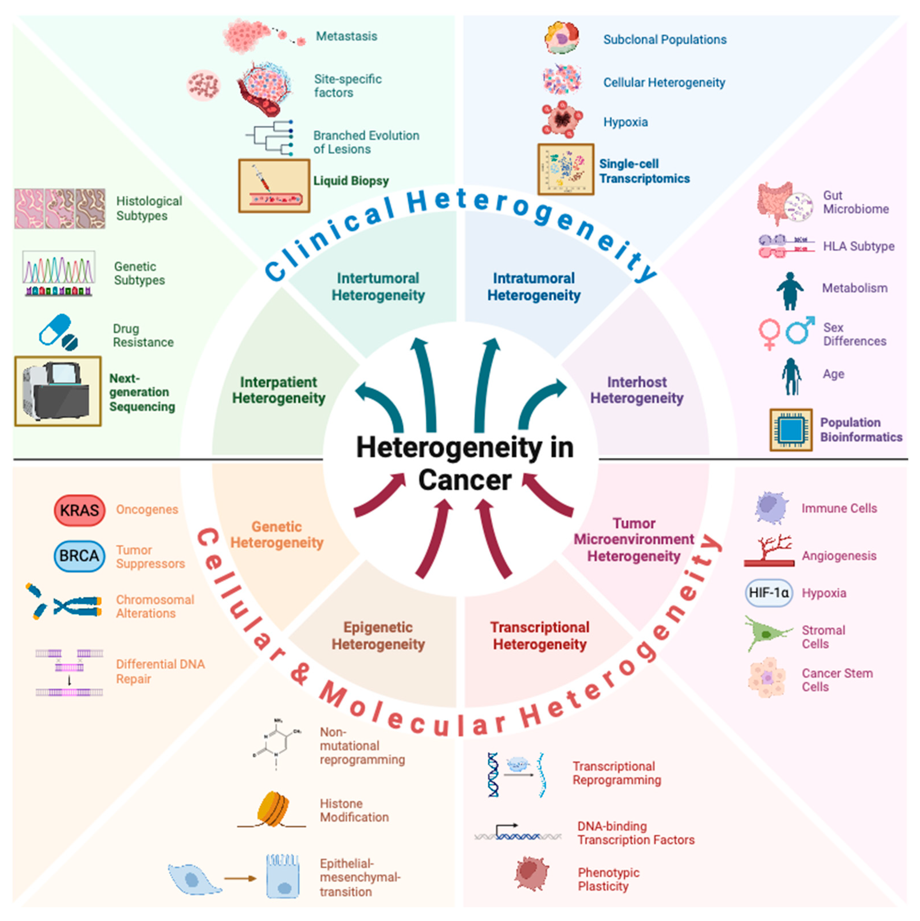 Cancers 17 00441 g002