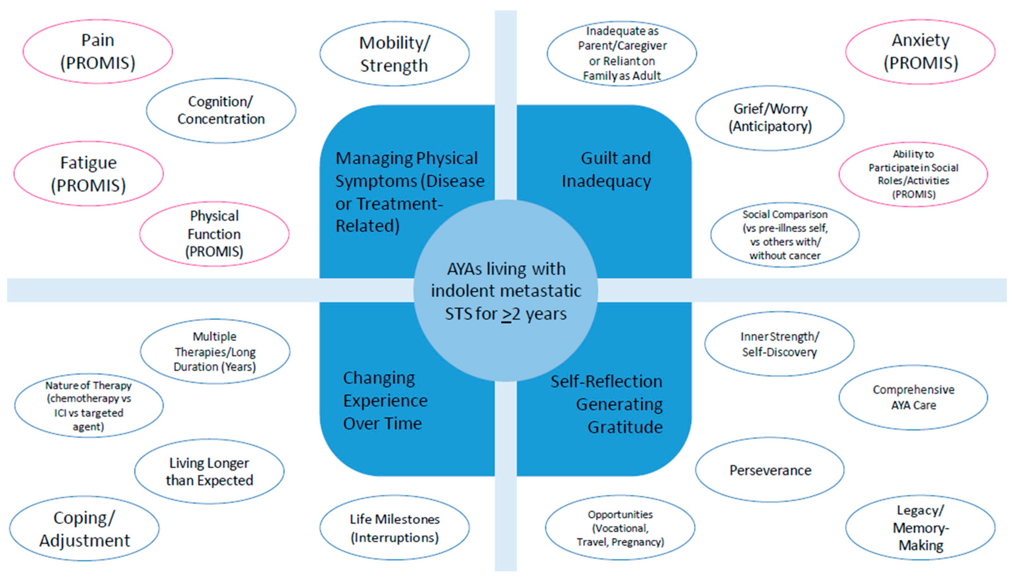 Cancers 17 00442 g002