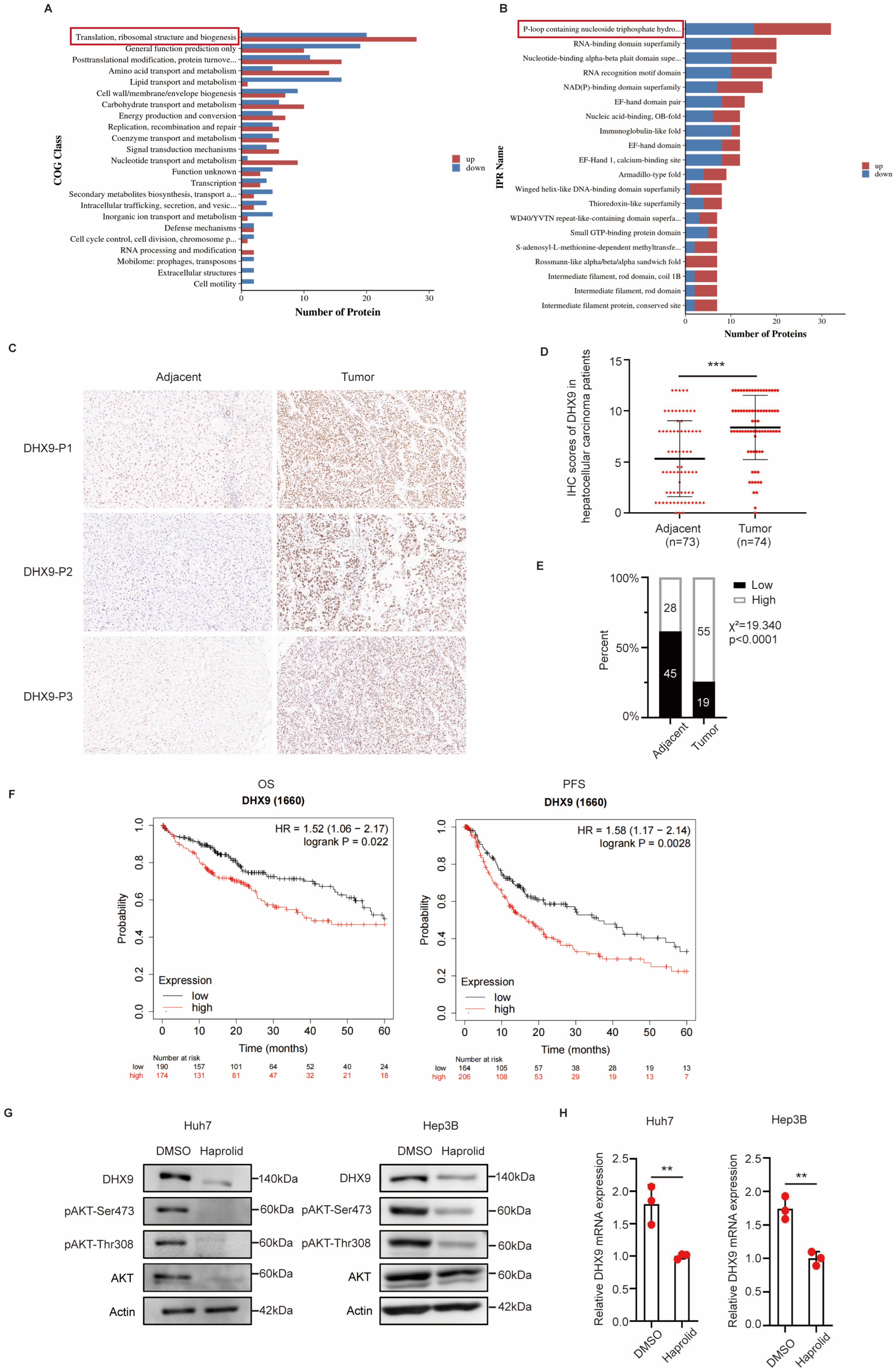 Cancers 17 00443 g001