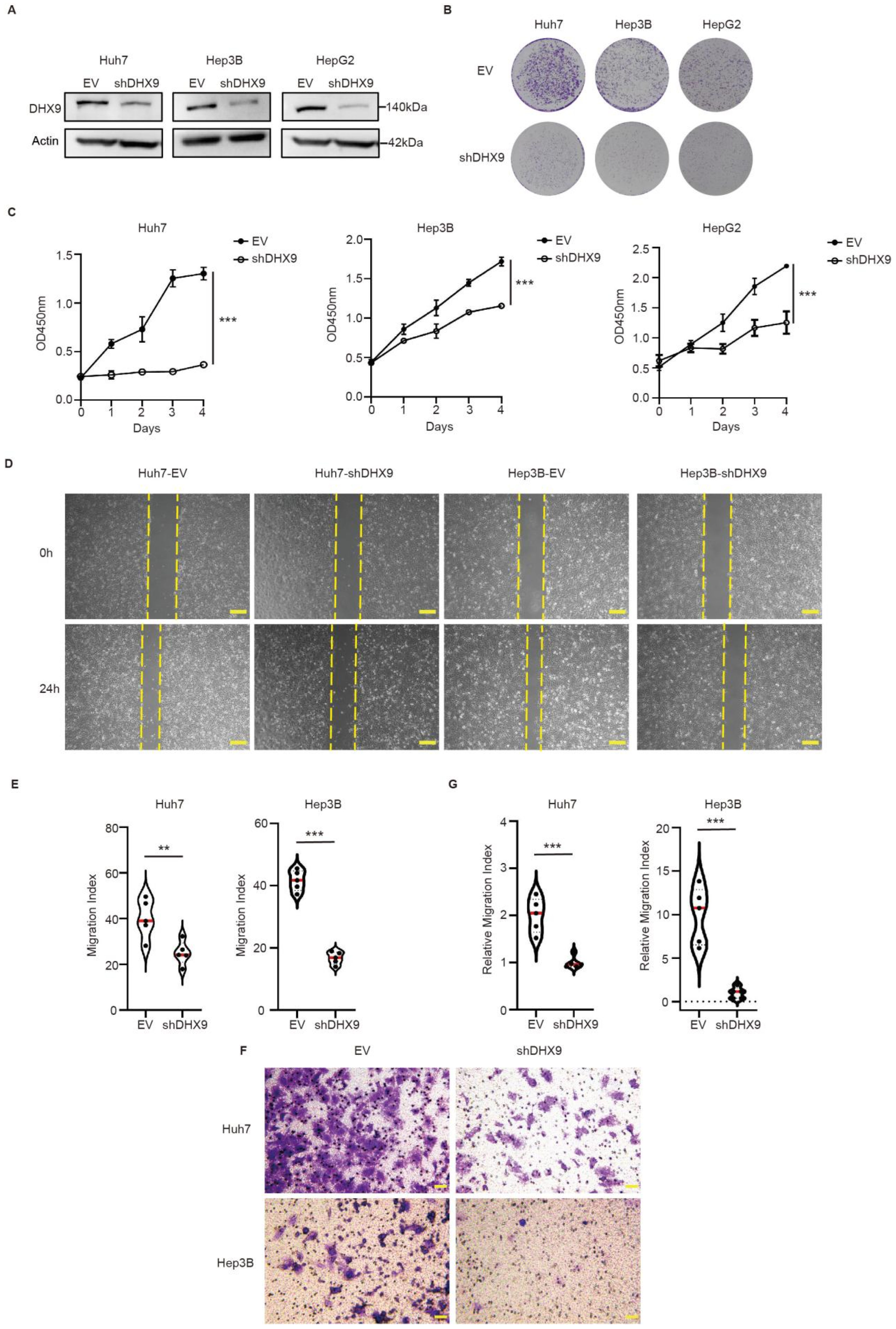 Cancers 17 00443 g002