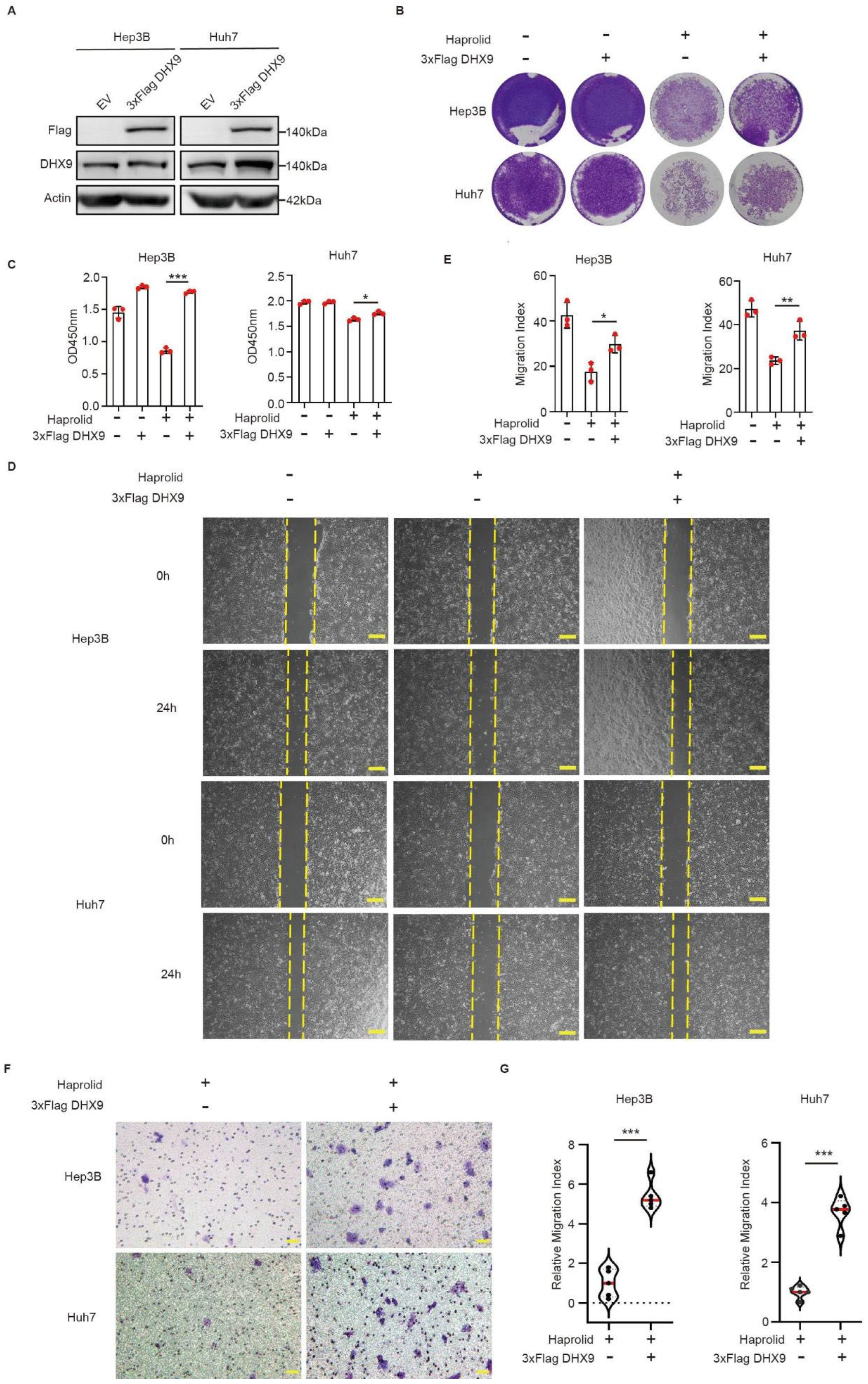 Cancers 17 00443 g003