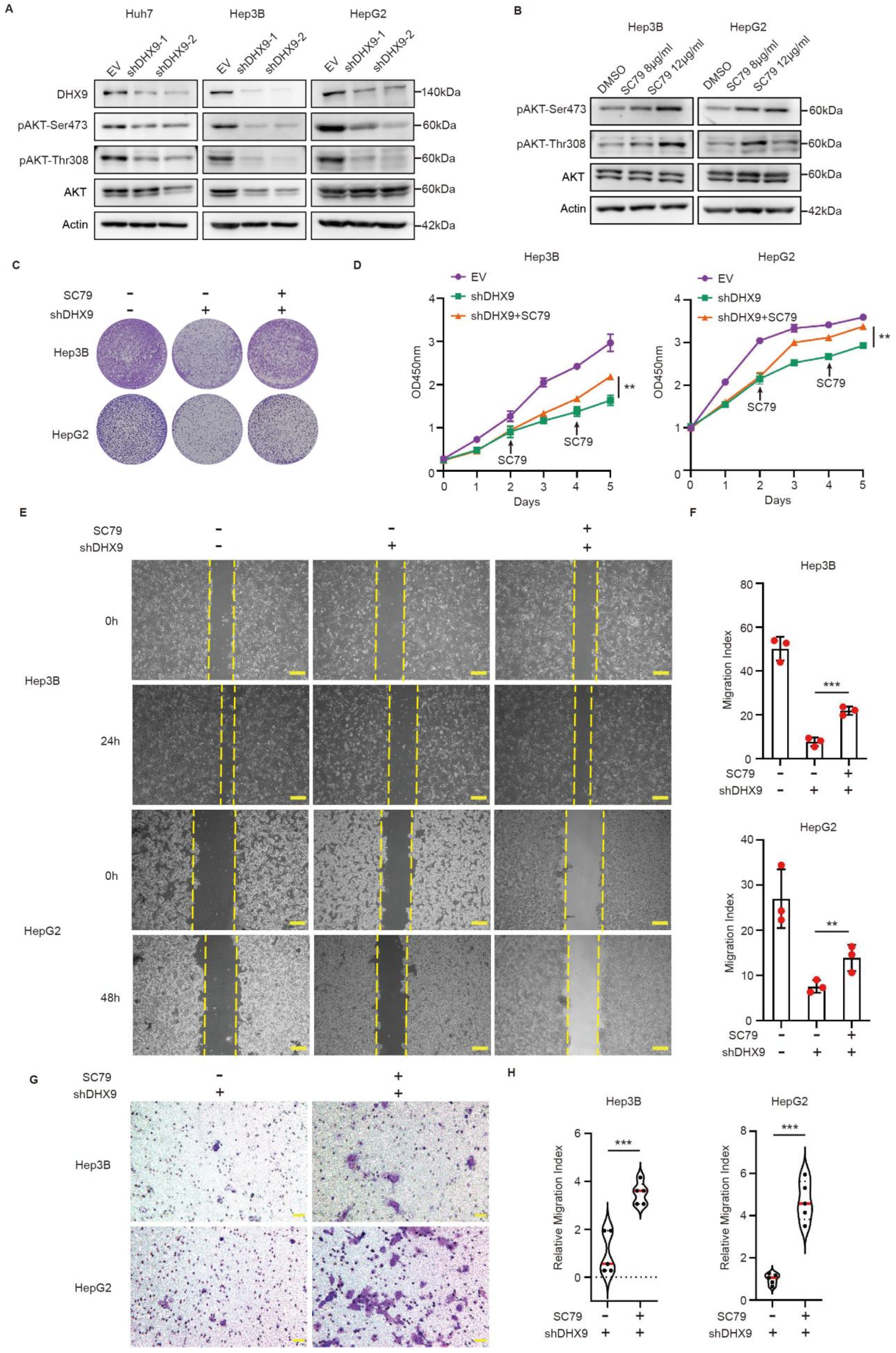 Cancers 17 00443 g004