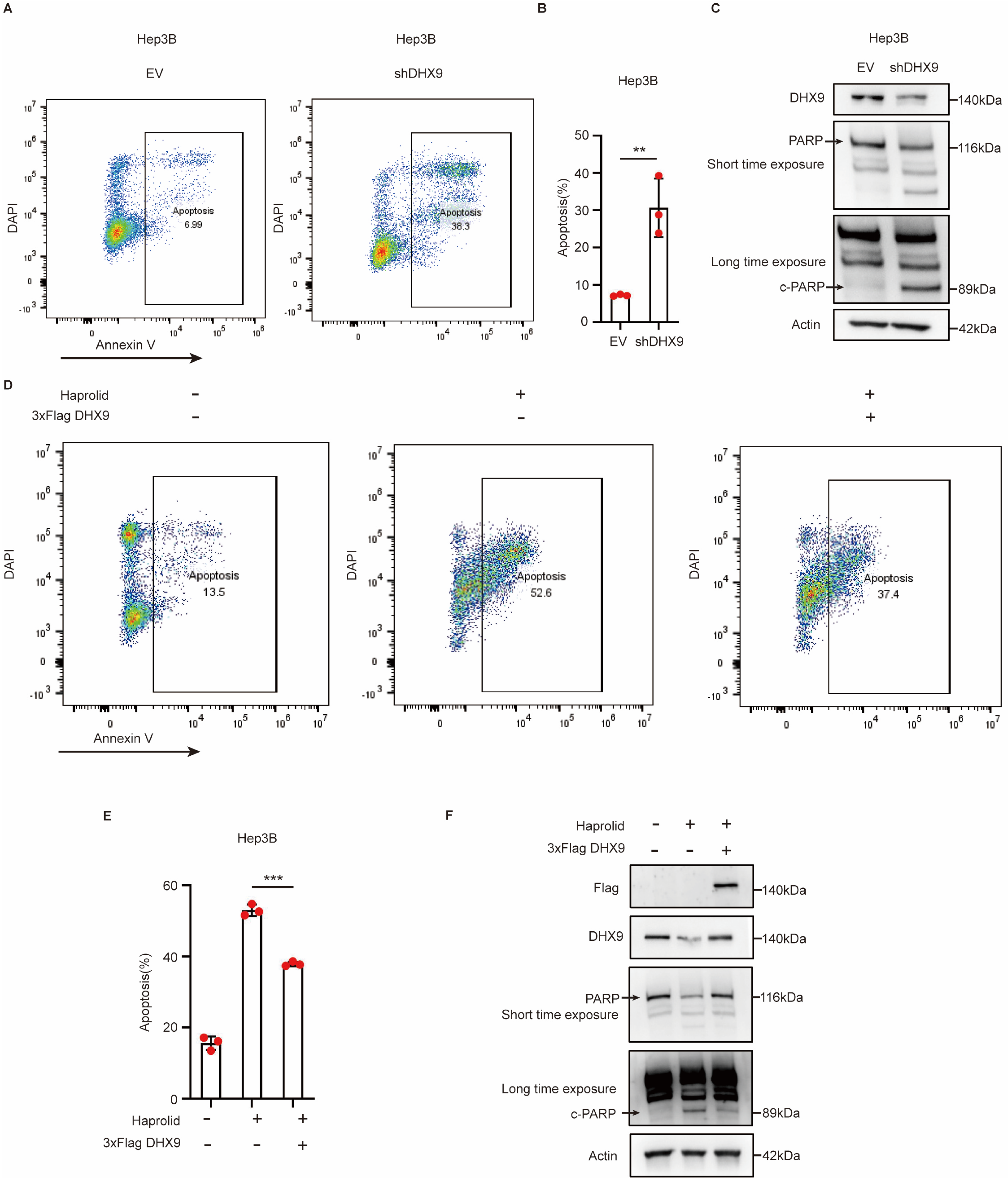 Cancers 17 00443 g005