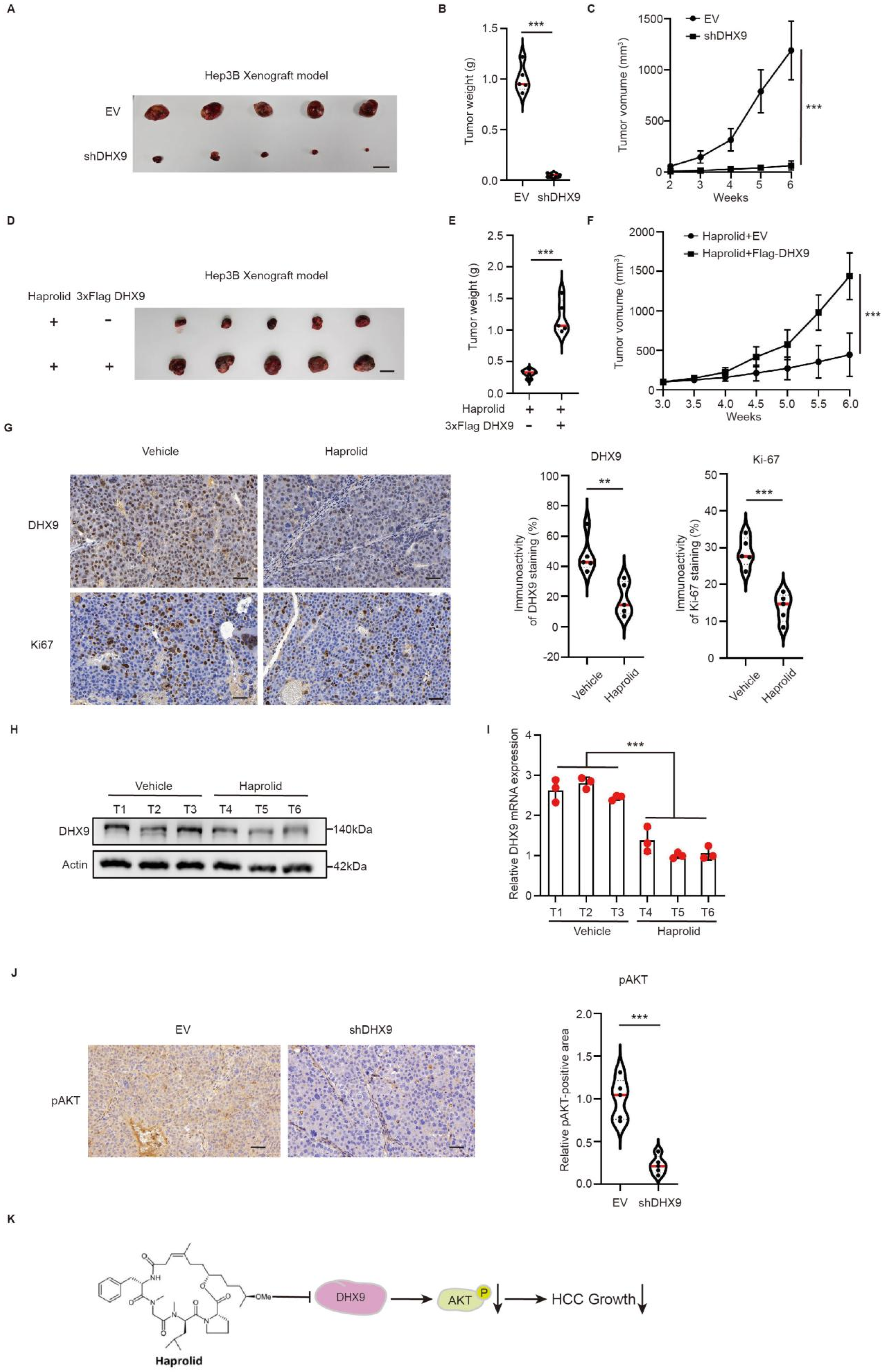 Cancers 17 00443 g006